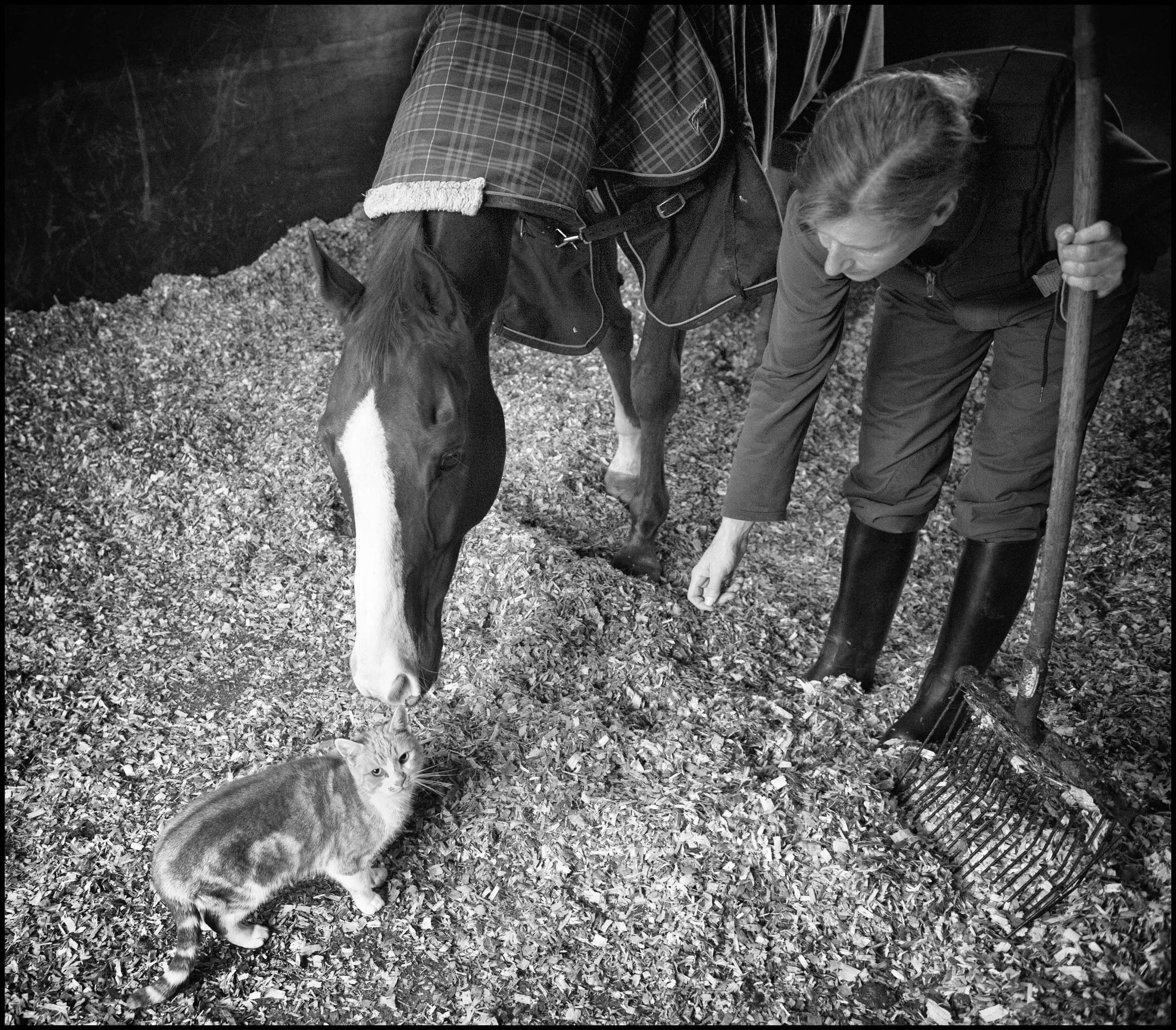 Racing Stables 18_281012_0007-Edit.jpg
