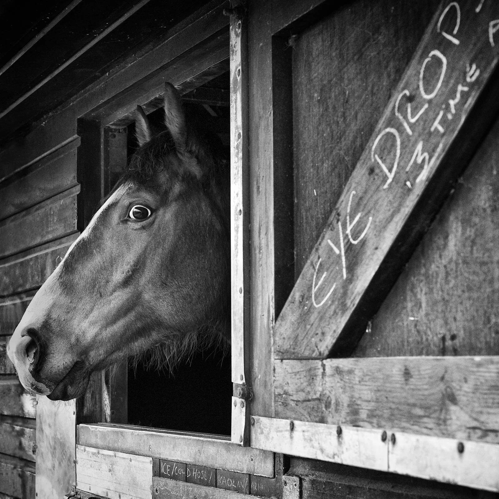 Racing Stables 28_web.jpg