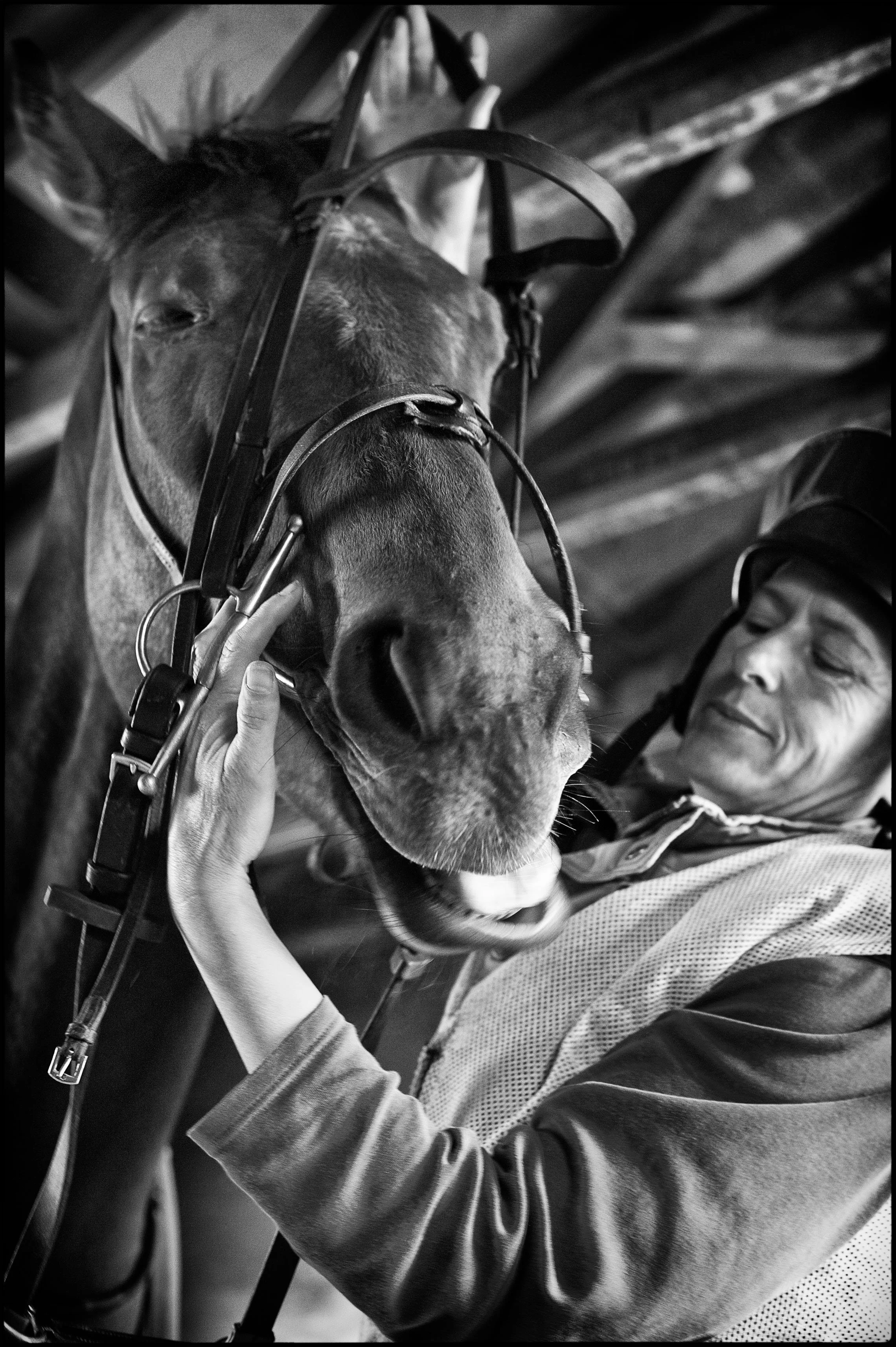 Racing Stables PR 28_0163.jpg