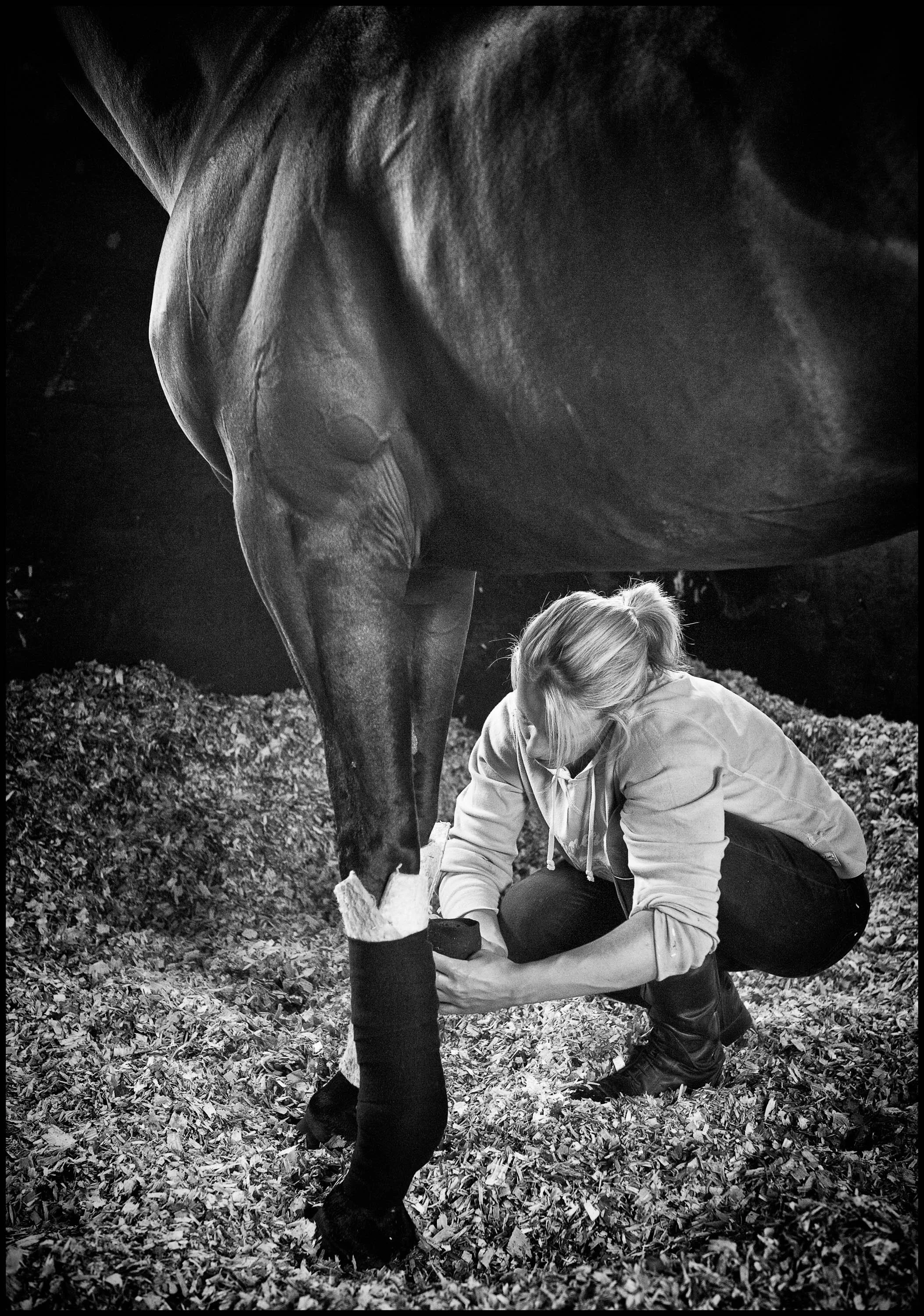 RAcing Stables 8a_Working_0196.jpg