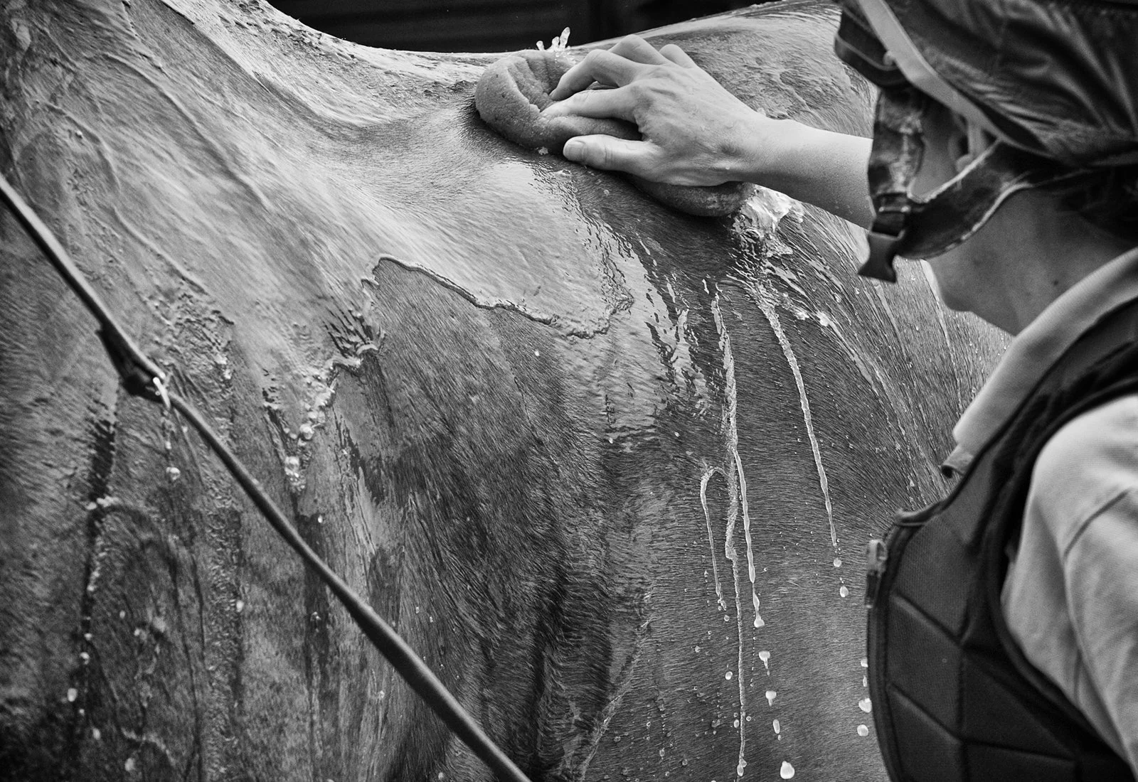 Racing Stables 34_200513web.jpg