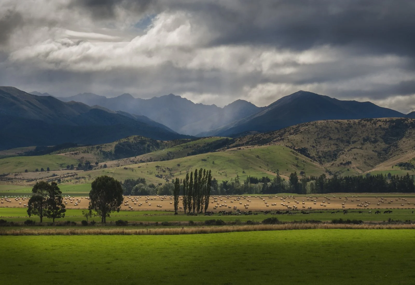 South Island NZ