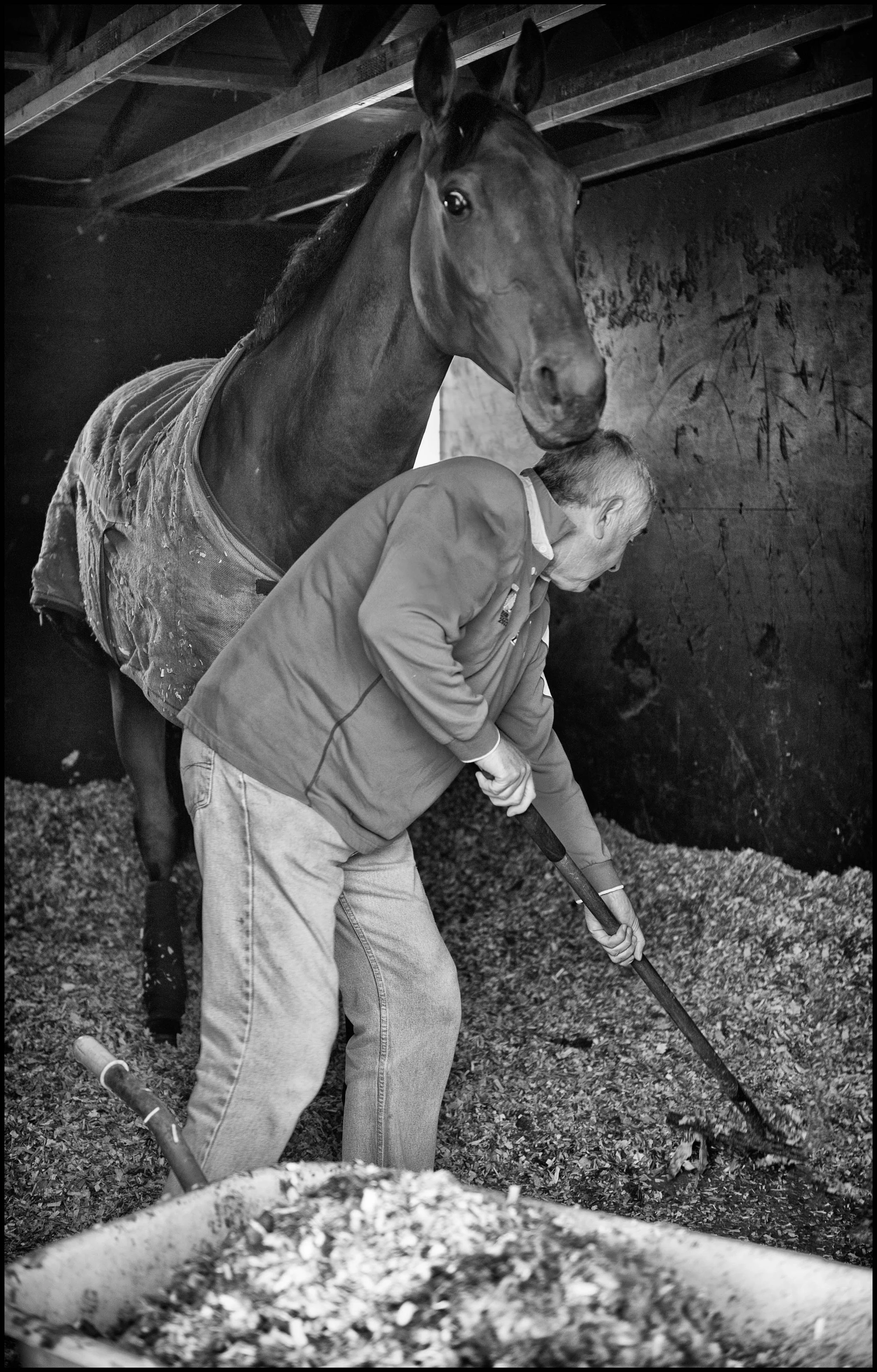 Racing Stables 10_220912_0001-Edit.jpg