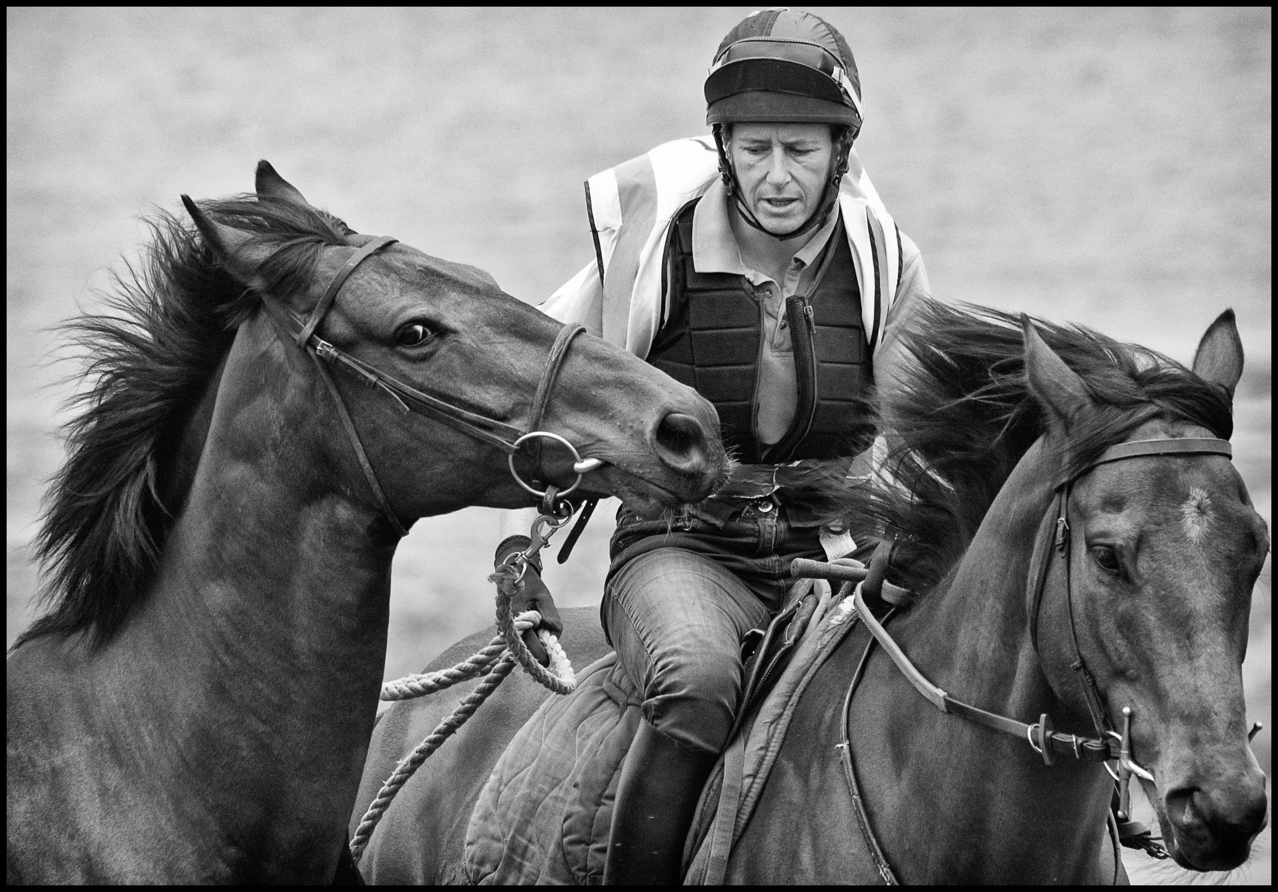 Racing Stables 34_200513_0194aborder.jpg