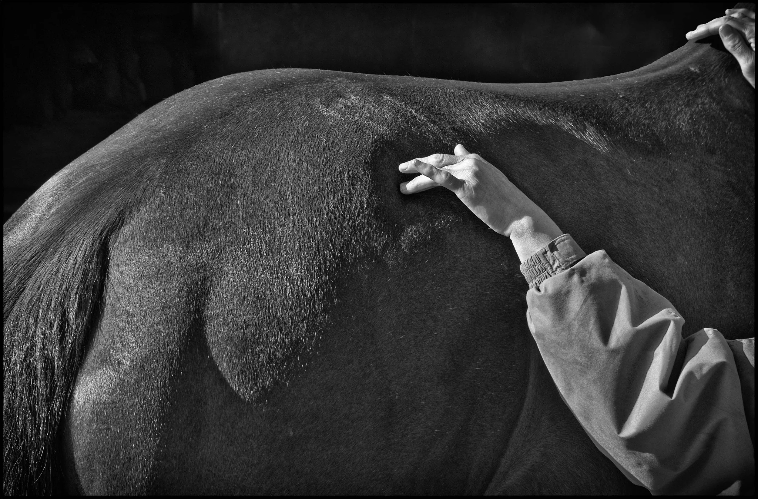 Racing Stables 2_B&WMC_0134-Edit.jpg