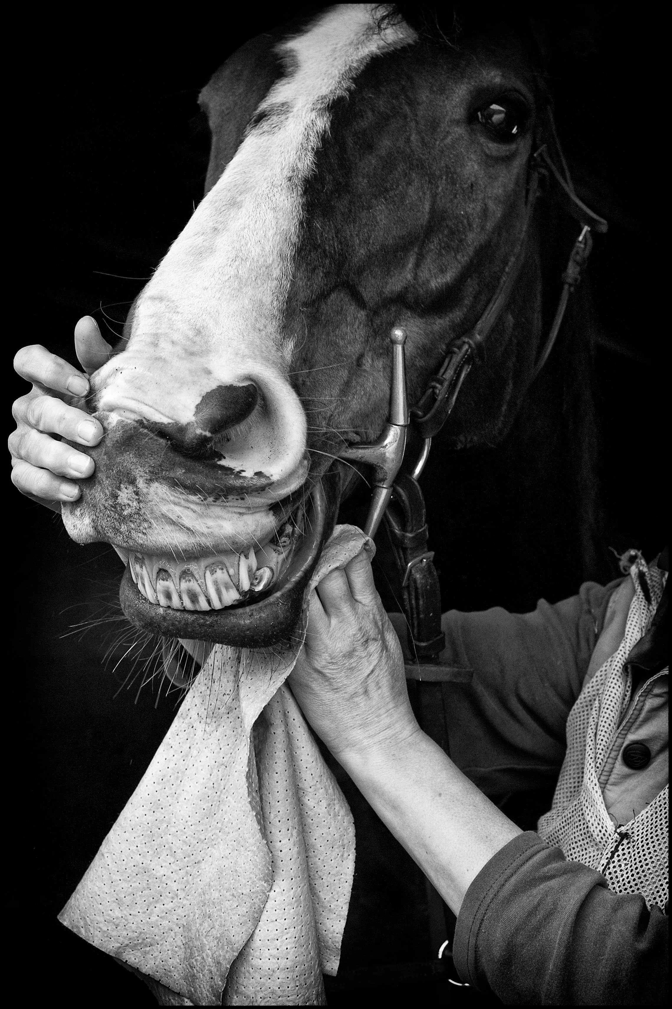 Racing Stables PR 28_0076.jpg