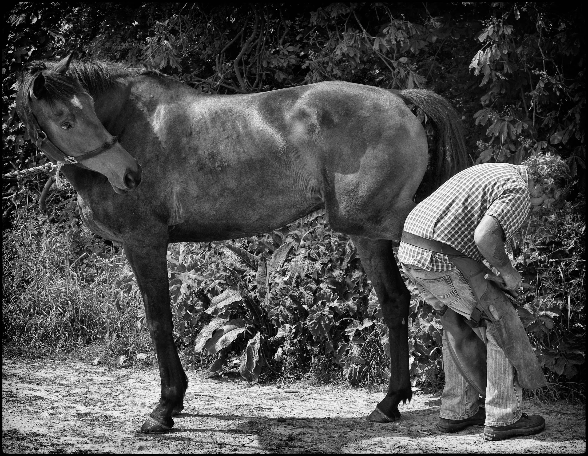 Racing Stables PR 4_0100B.jpg