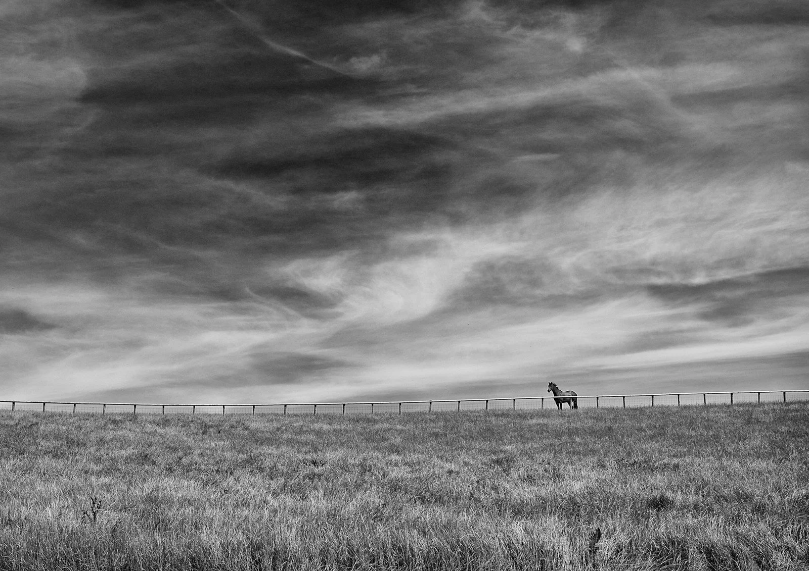 Racing Stables 4_Working_0329-small.jpg