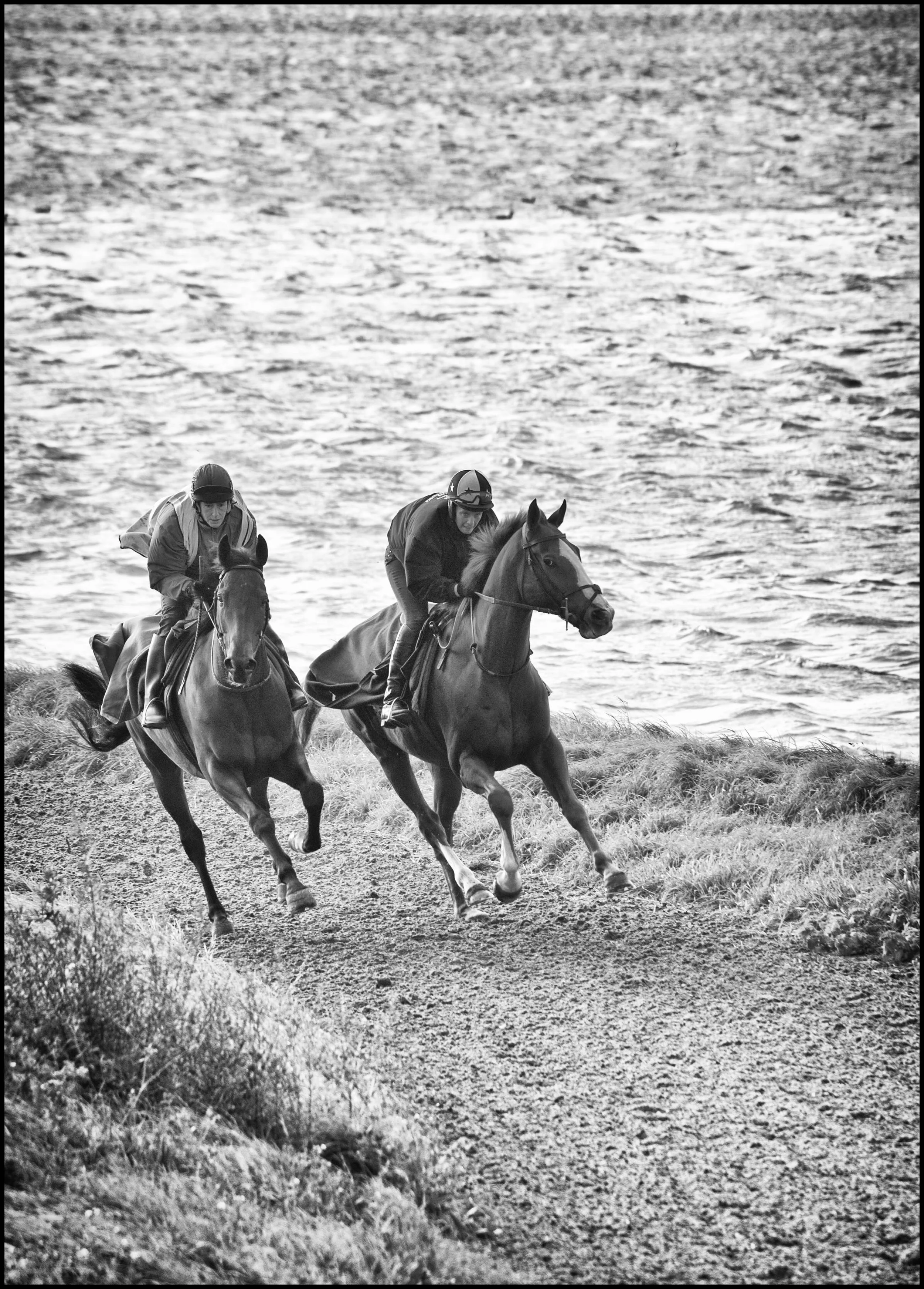 Racing Stables 14_171012_0003-Edit-Edit.jpg