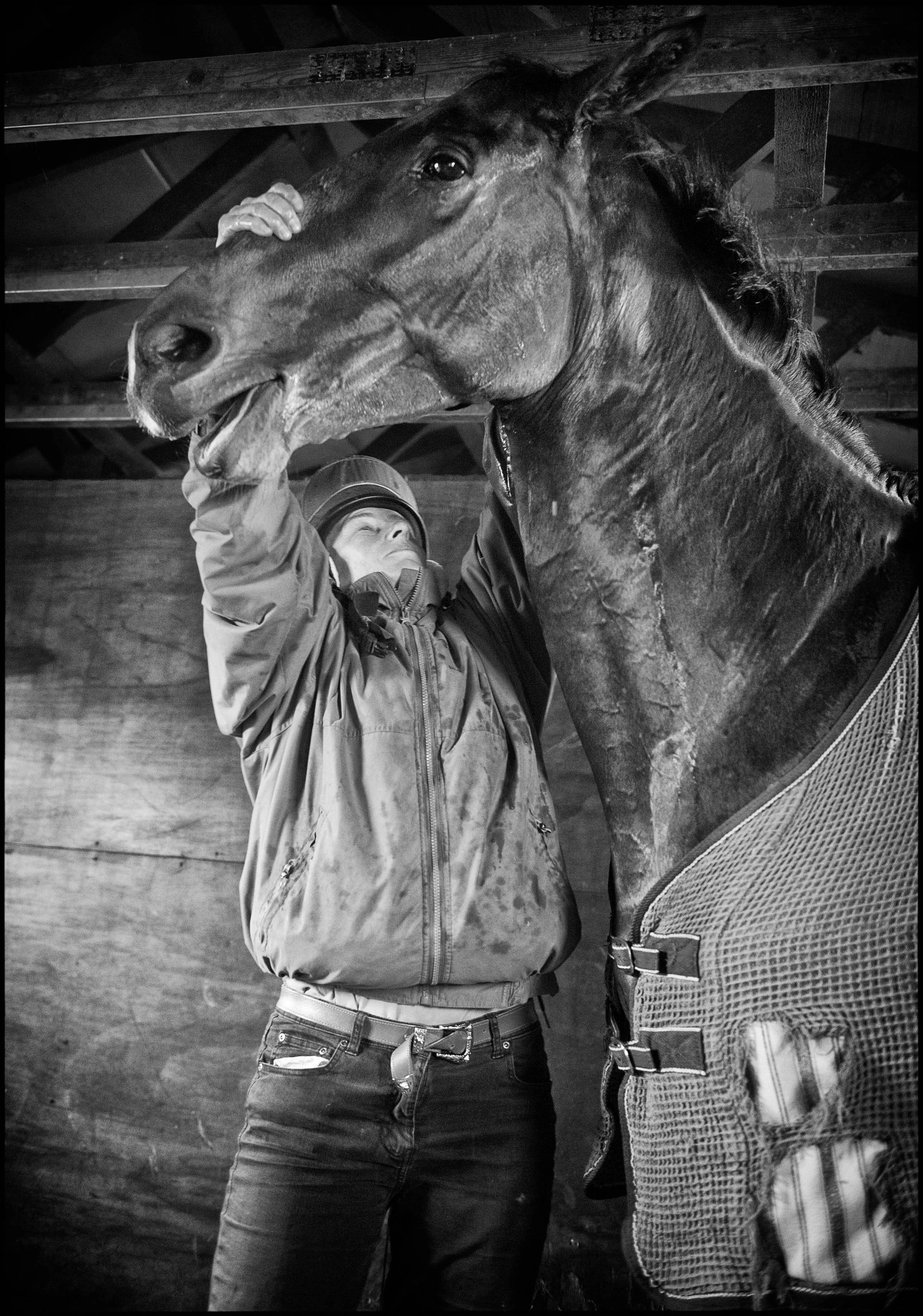 Racing Stables PR 14_171012_0056 copy.jpg