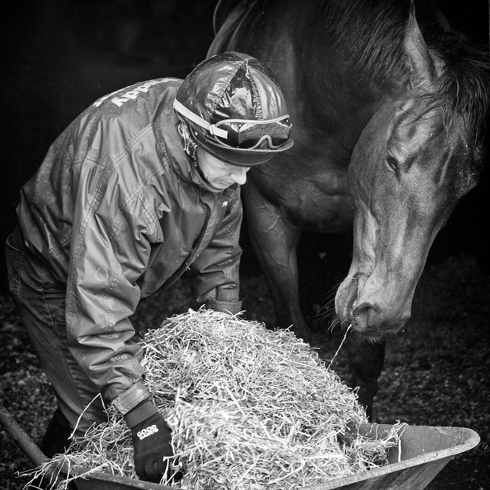 Racing Stables 33_140513_web.jpg