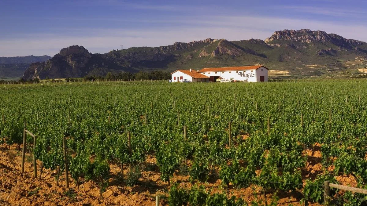 Top Wineries Less Than 90 Minutes from Barcelona