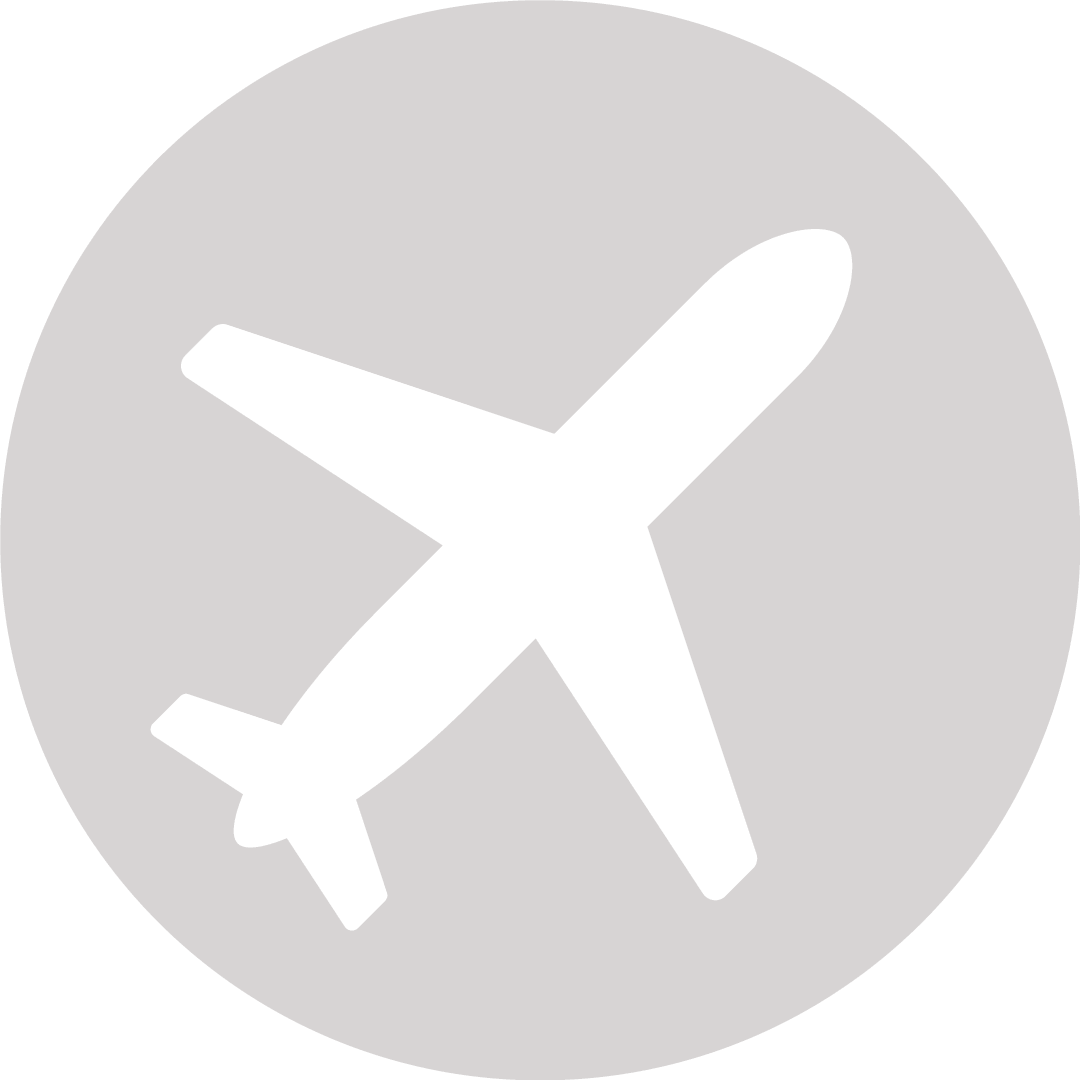 SPARKING PARTNER by Thierry Baril grey aerospace icon for his career at AIRBUS at CHRO. Logo design by Patric Pop, Strategy and Creative in Geneva, Switzerland