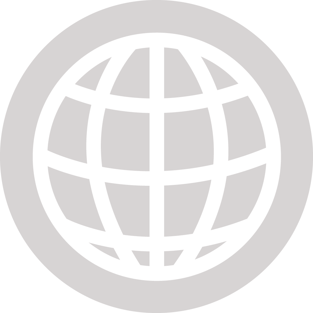 SPARKING PARTNER by Thierry Baril grey icon for Trusted in complex leadership environments in International Organisations. Logo design by Patric Pop, Strategy and Creative in Geneva, Switzerland