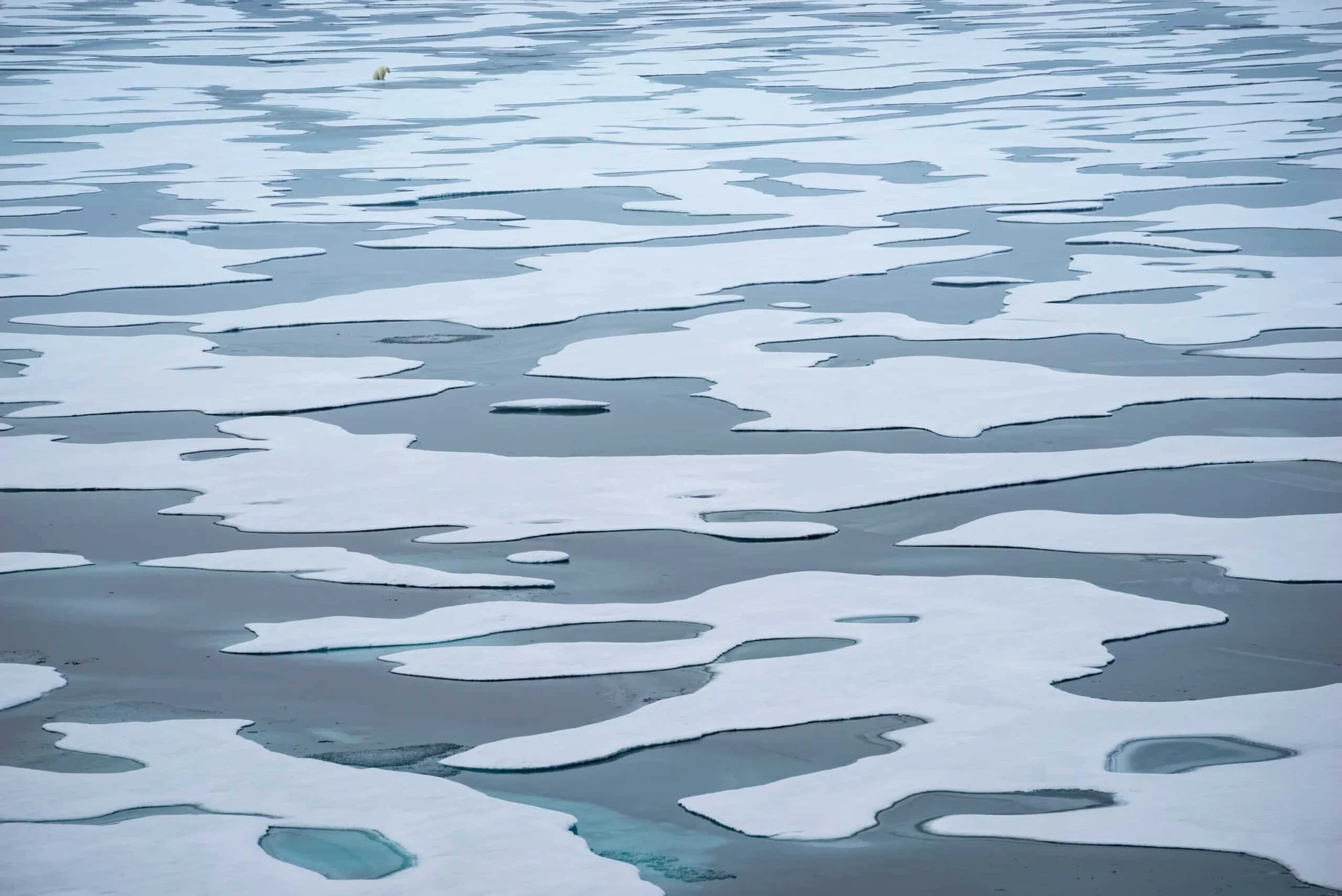 The-Sea-Ice-Maze-scaled.jpg