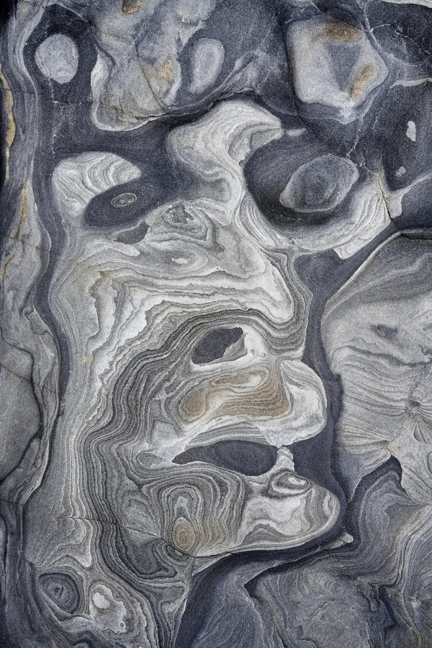 Sedimentarian-scaled.jpg