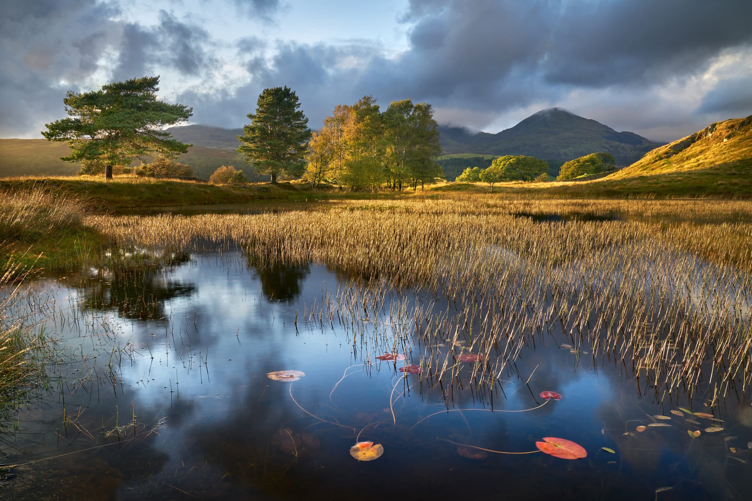 Kelly_Hall_Tarn-scaled.jpg