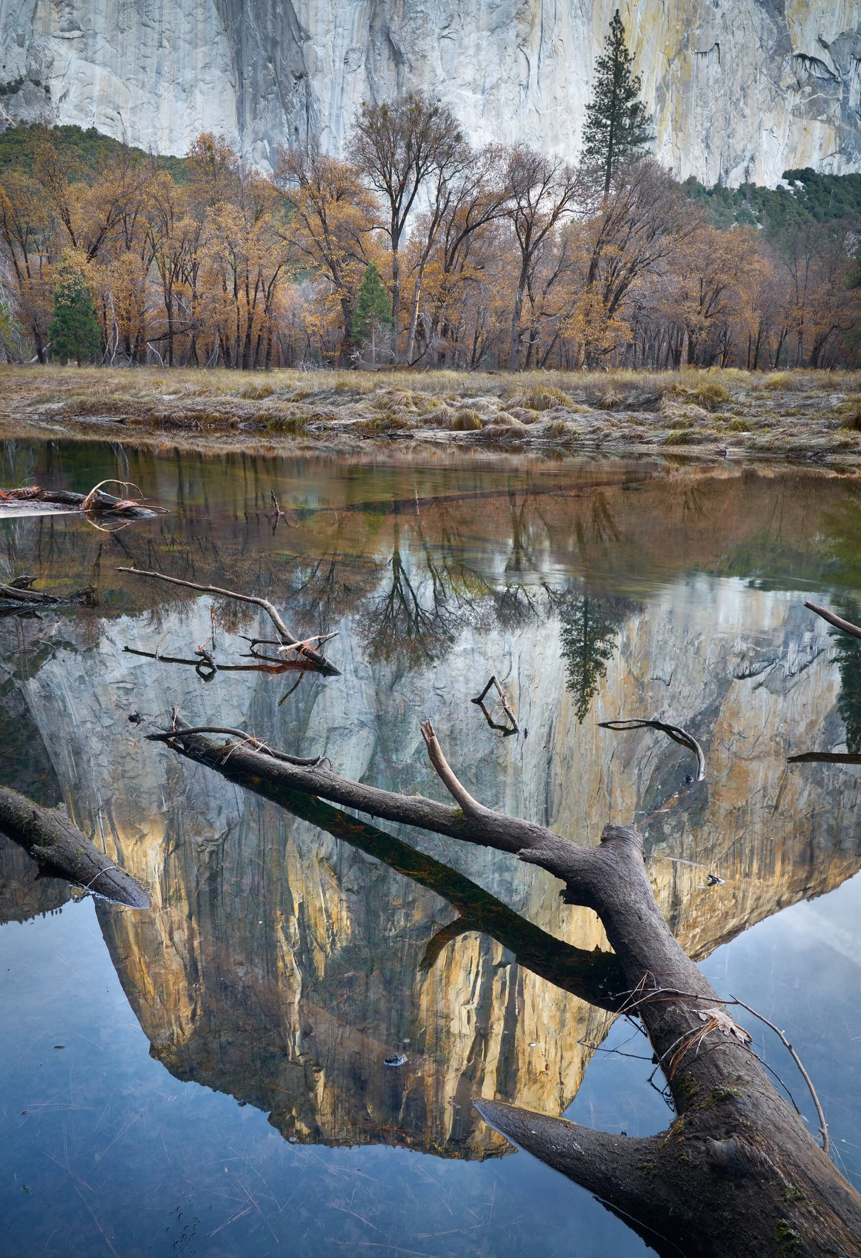 El-Capitan-reflected-scaled.jpg