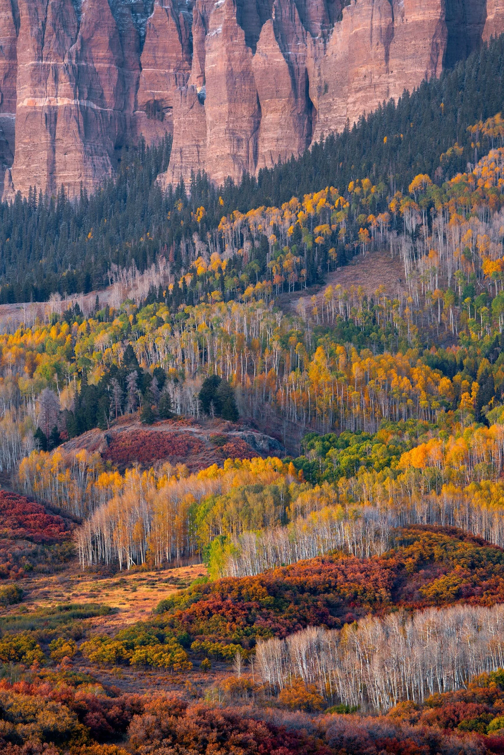 CimmaronRidge_Uncompahgre_Colorado-scaled.jpg