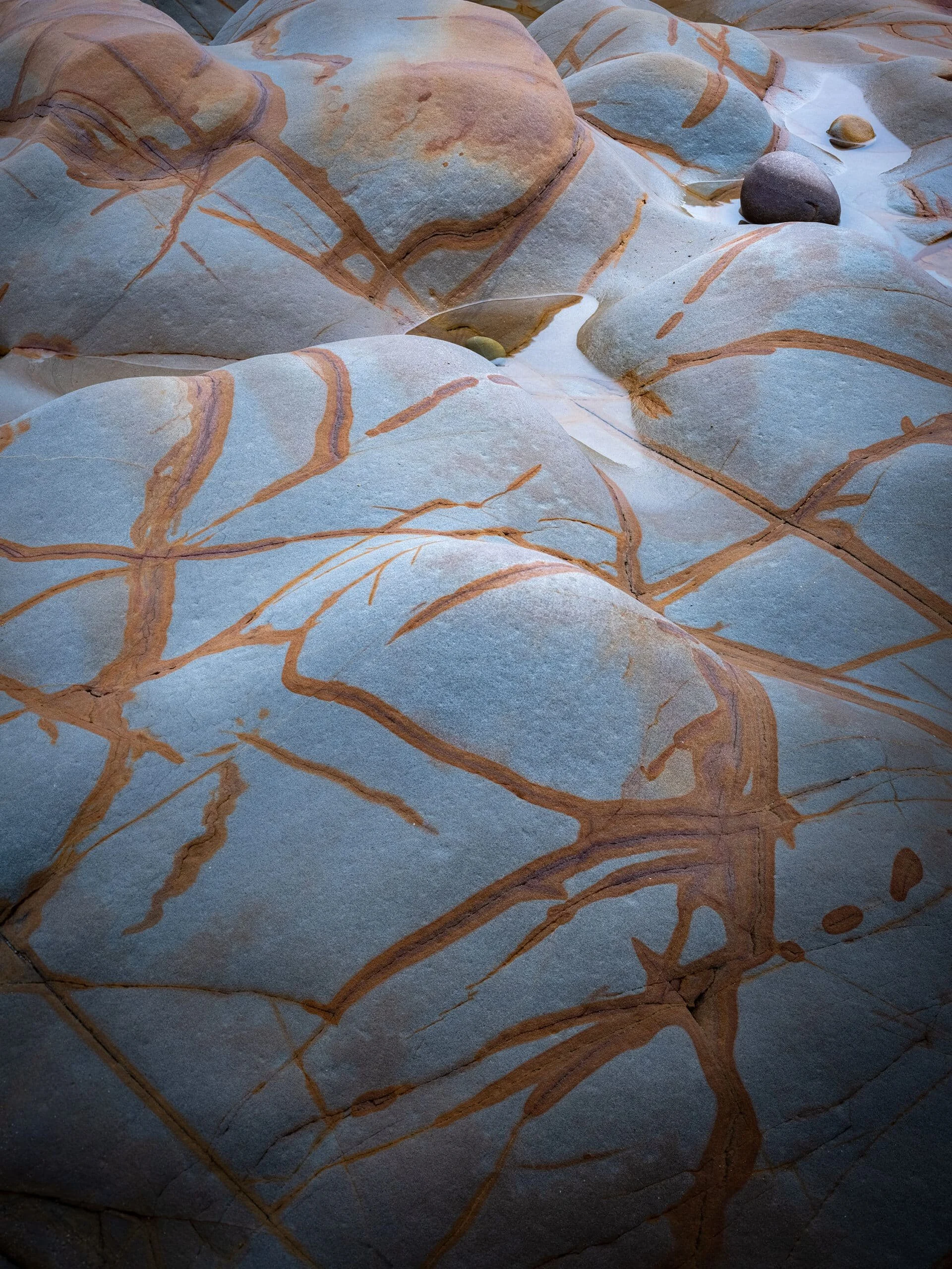 Warpaint_rock-scaled.jpg