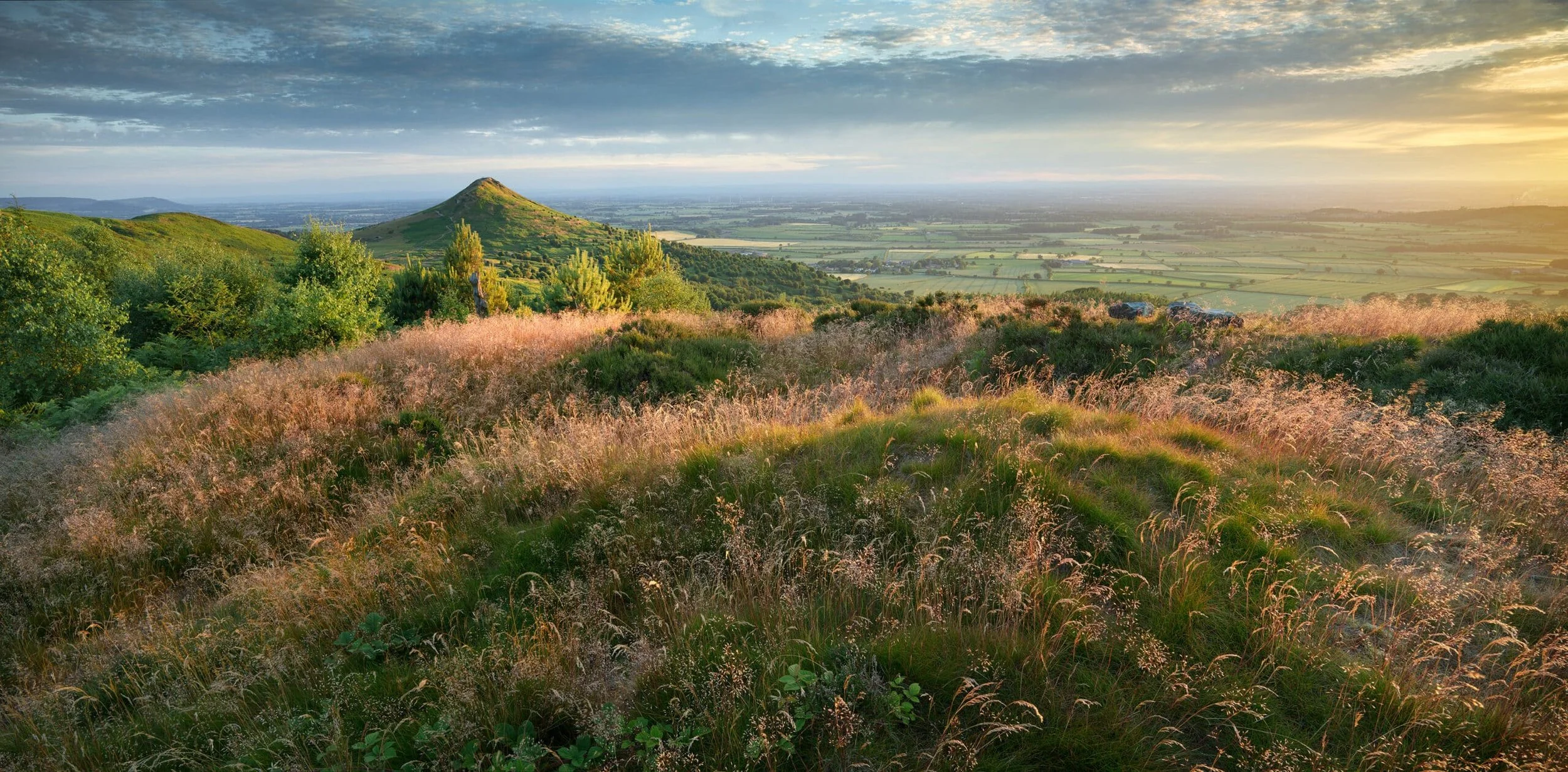 Roseberry_Mid_Summer_evening-scaled.jpg