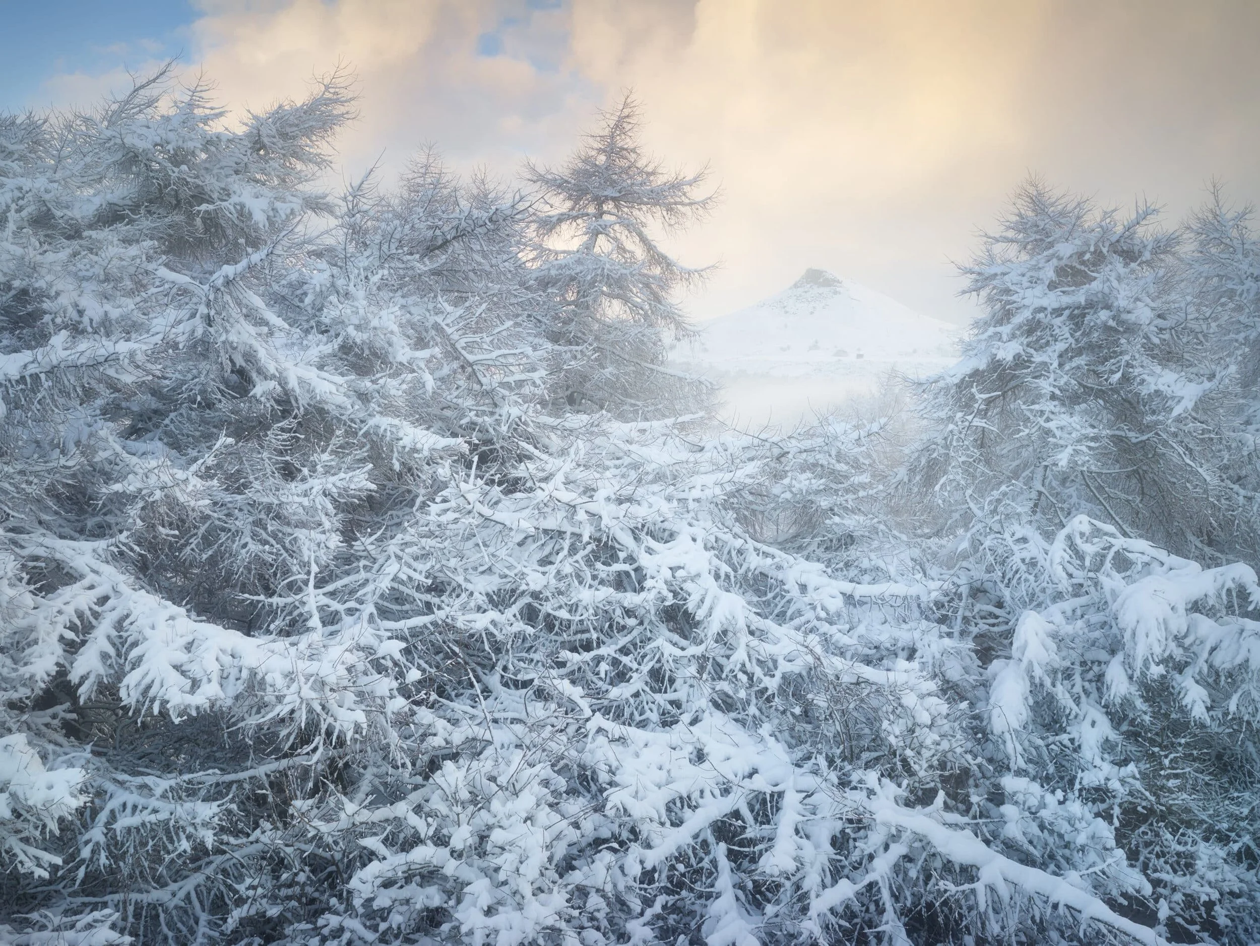 WinterWonderland-scaled.jpg