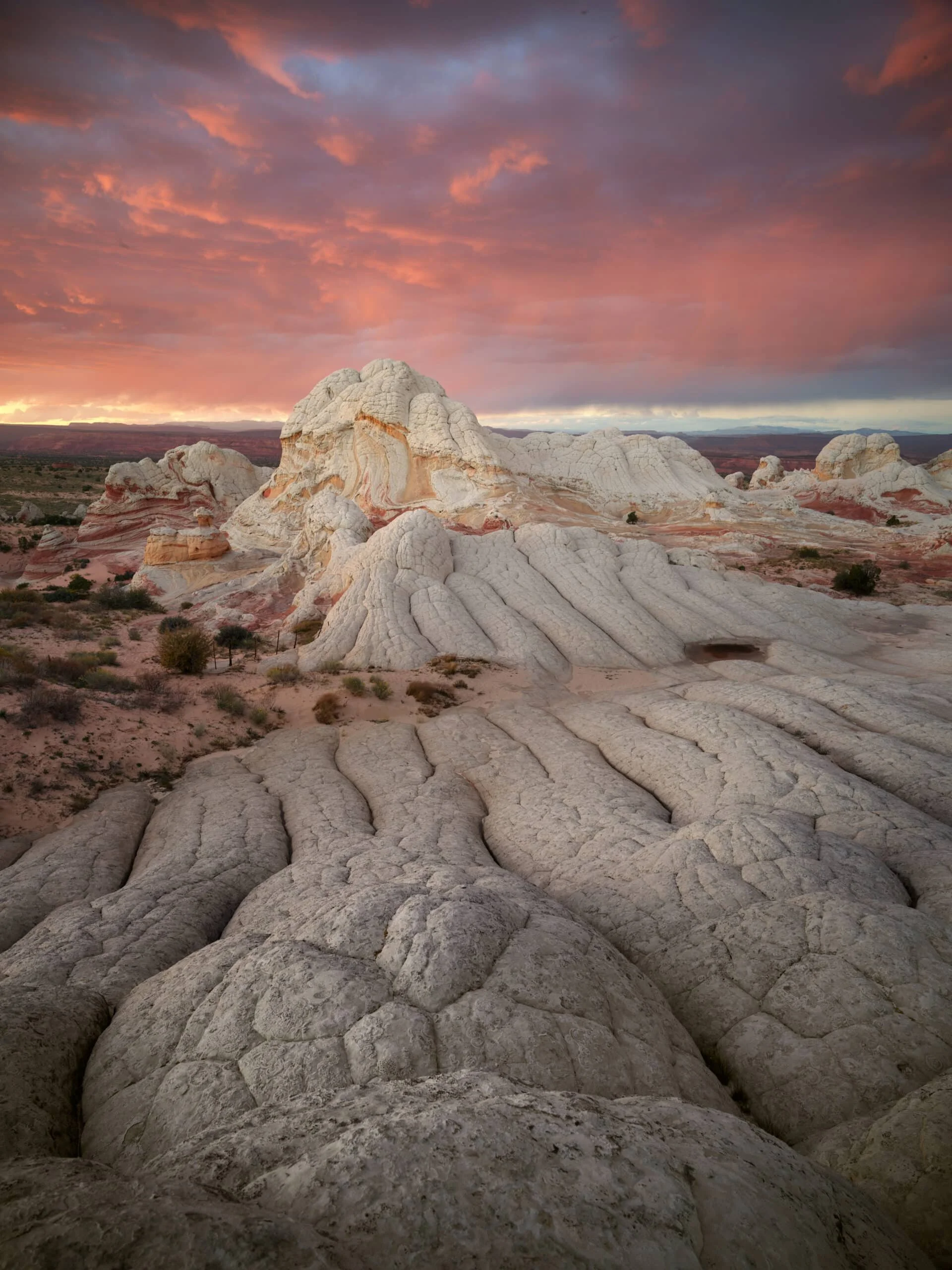 7_Wider-World_Desert-South-West-sunset-scaled.jpg