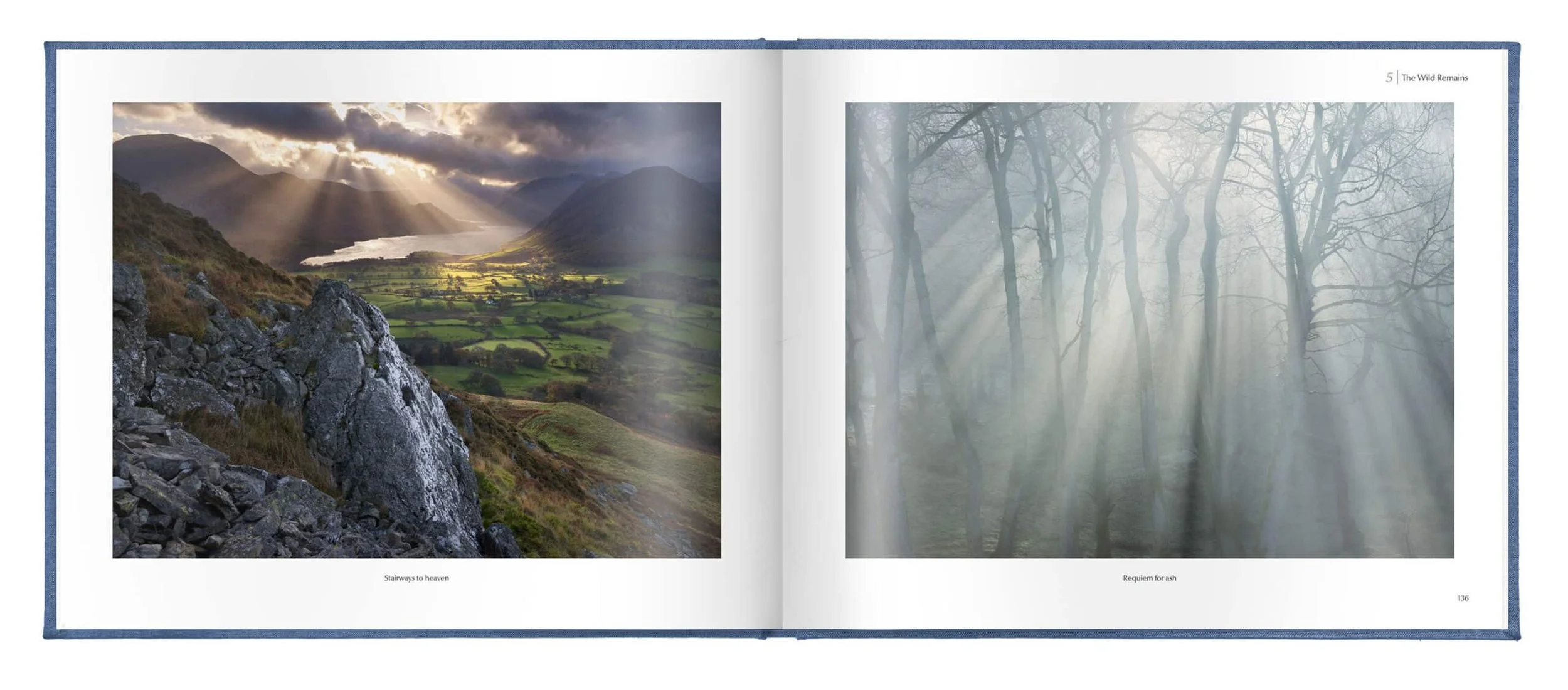 book-content-2-white-scaled.jpg