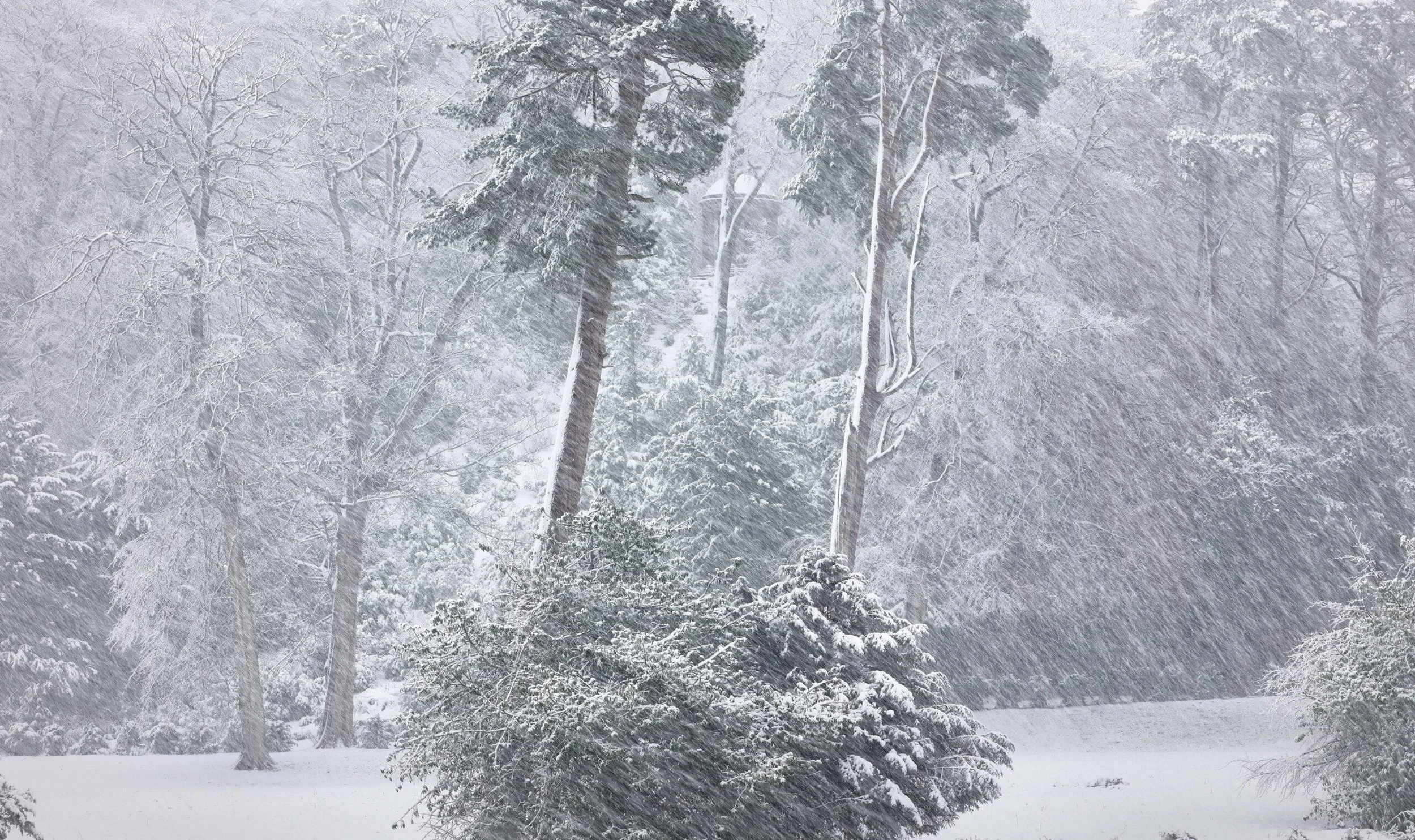 Temple-of-Fame-SnowStorm-scaled.jpg