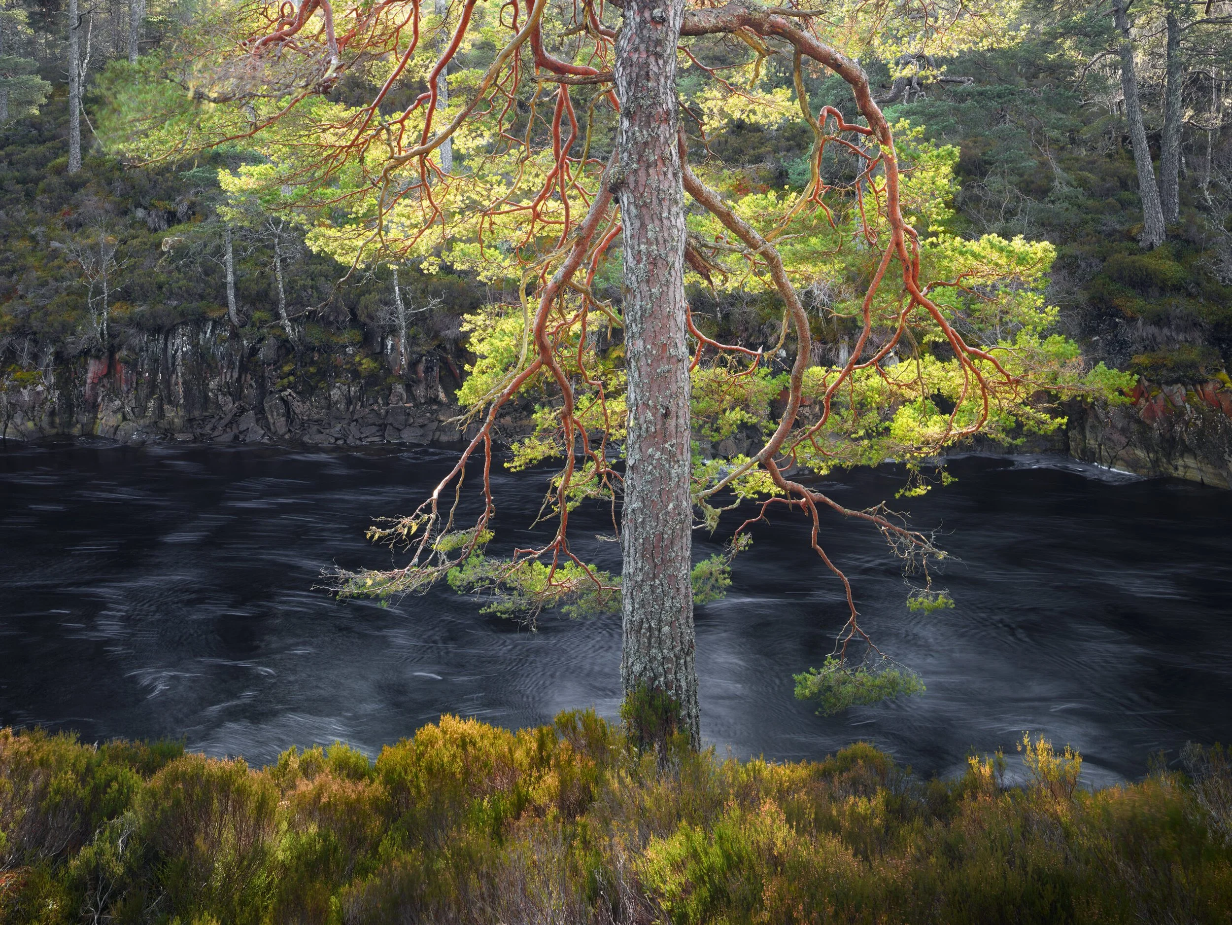 Glen-Affric-scaled.jpg