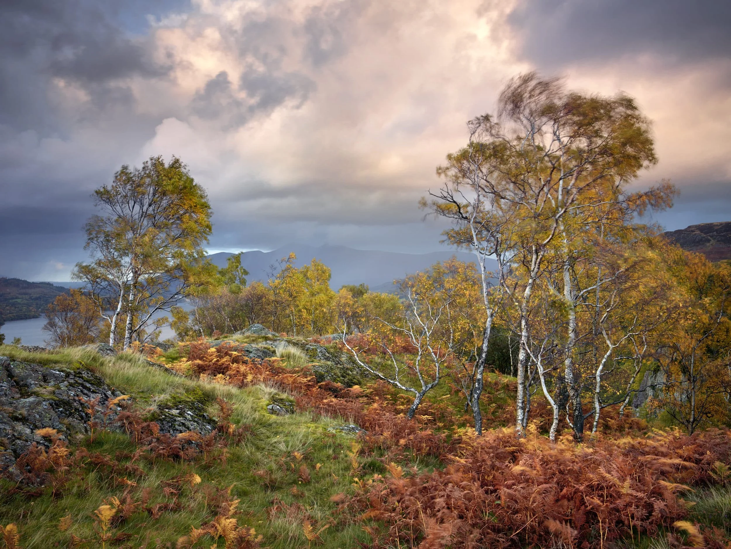 Shepherds-Crag-scaled.jpg