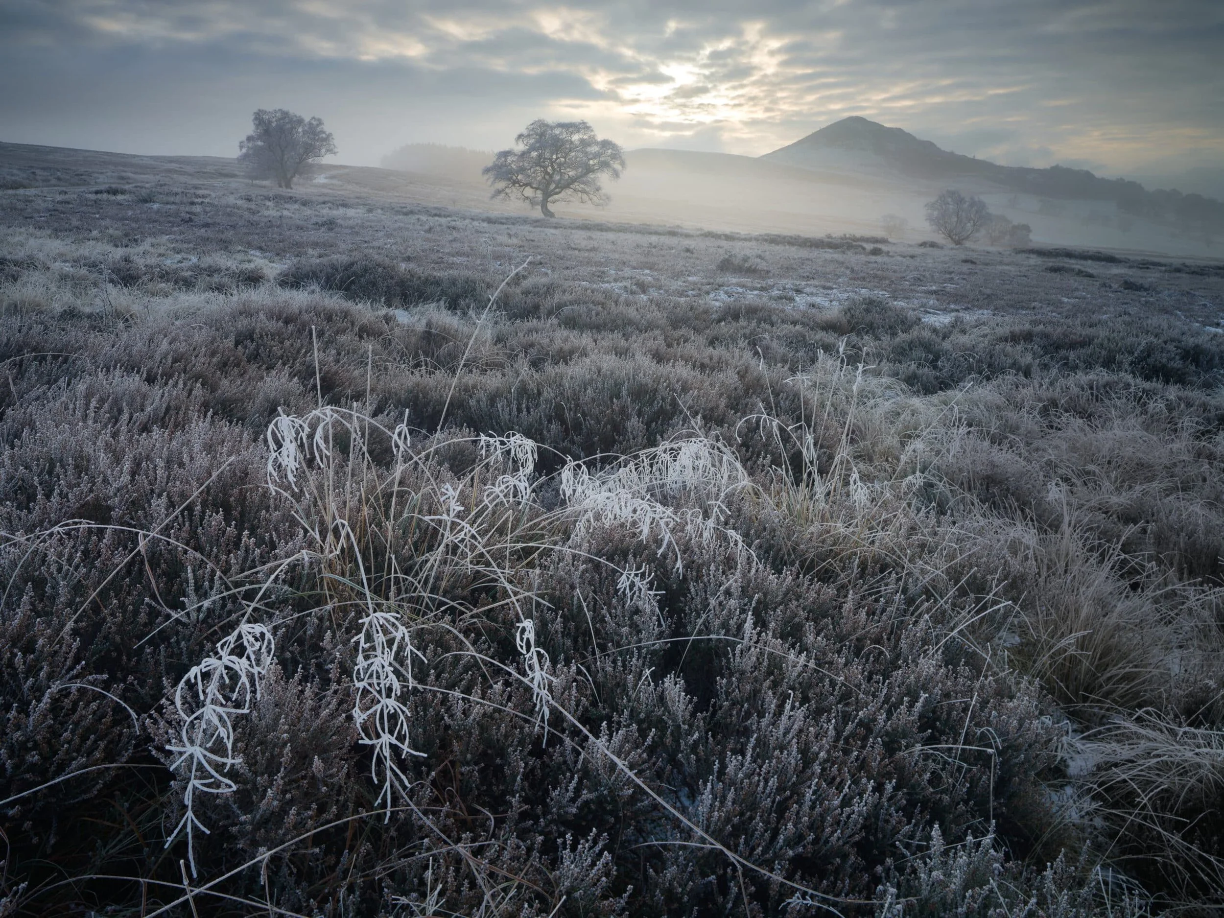 Hawnby_Moor_hoar_frost-scaled.jpg