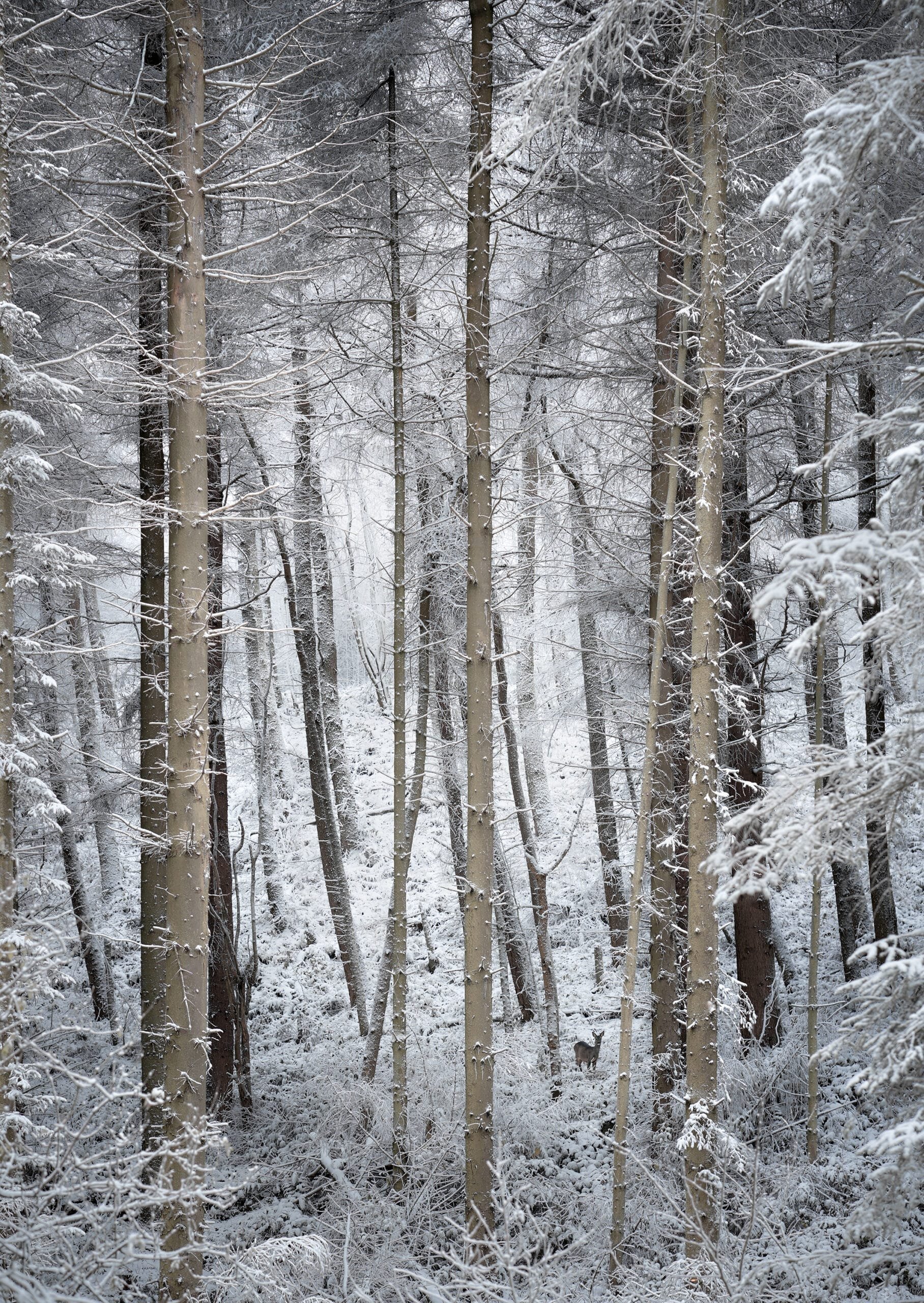 Sound_of_Winter-scaled.jpg