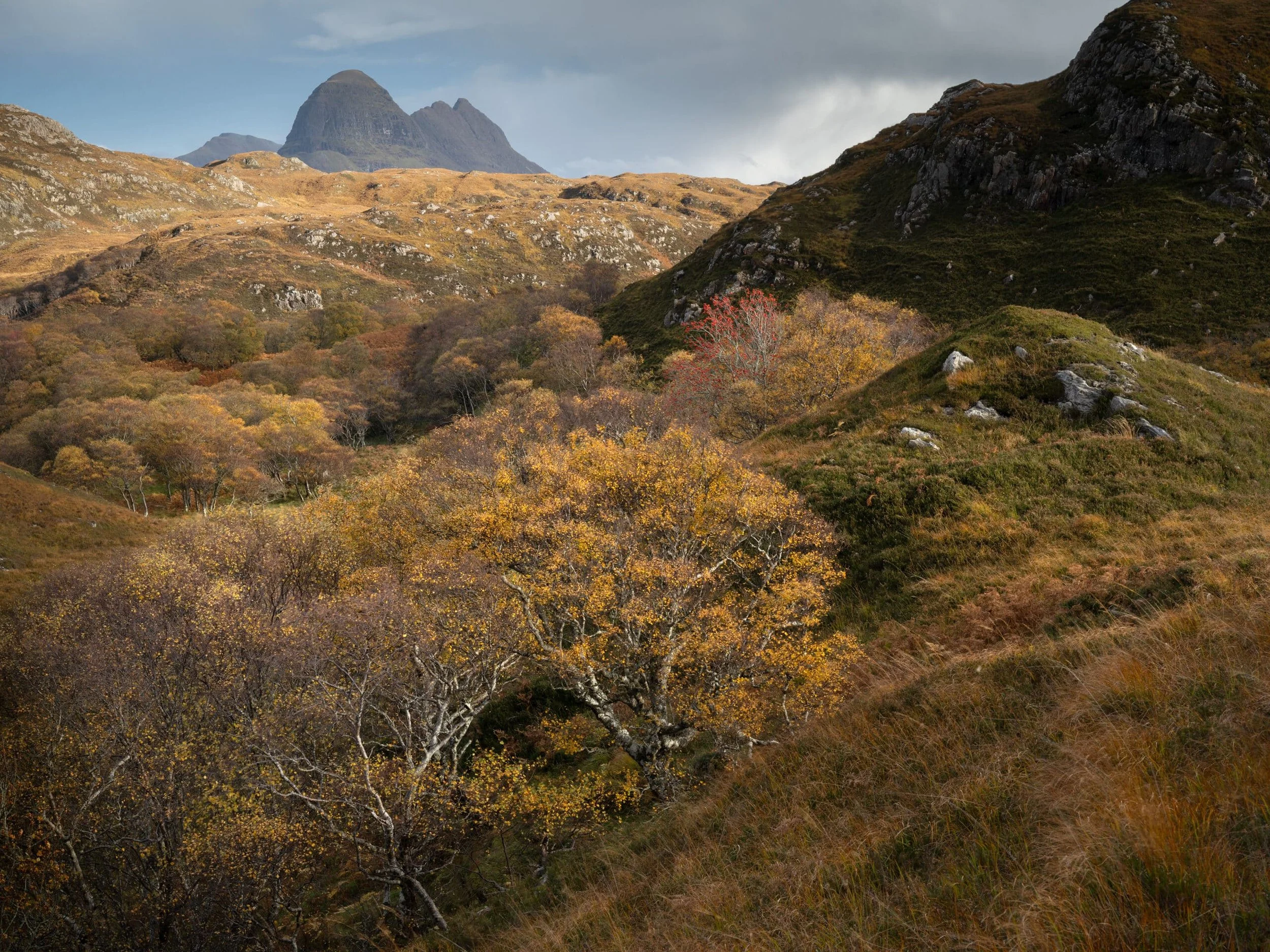 Suilven-Prospect-scaled.jpg
