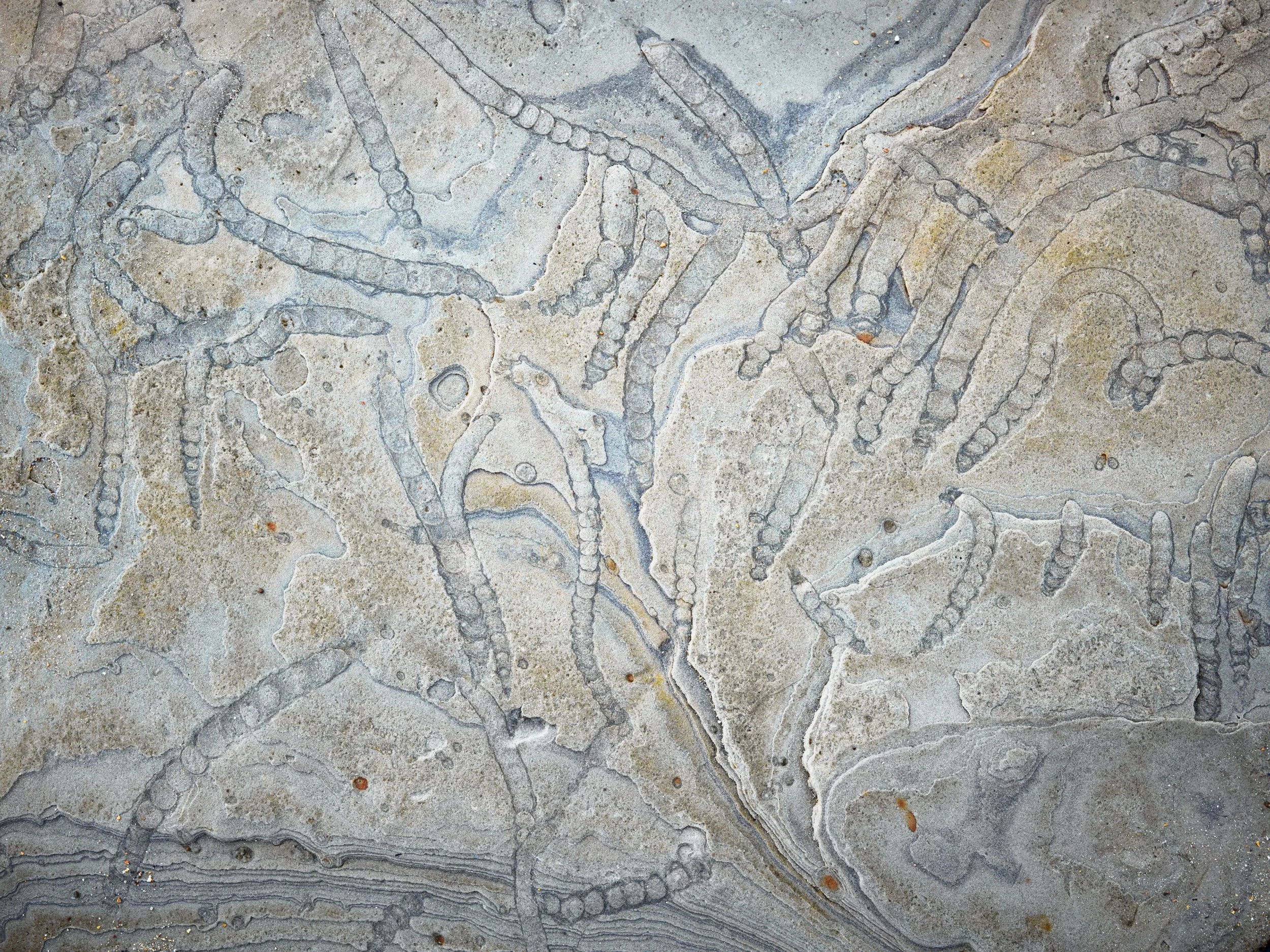 Casts-of-Time-scaled.jpg