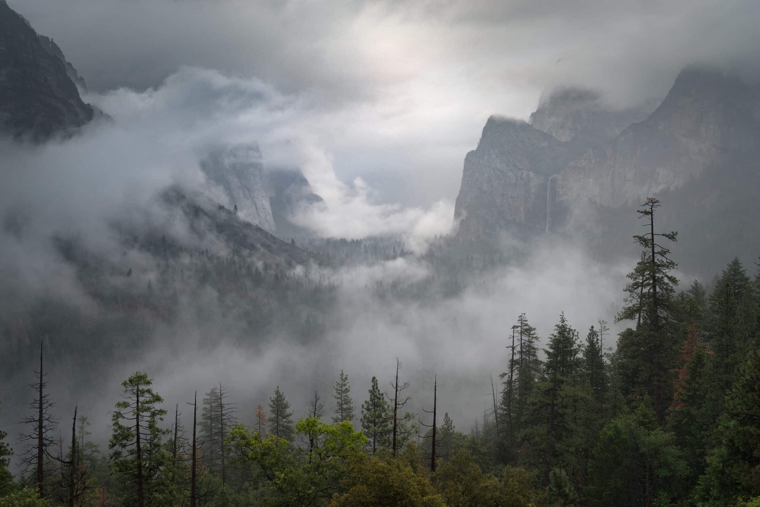 Yosemite_Valley_misty-morning-scaled.jpg