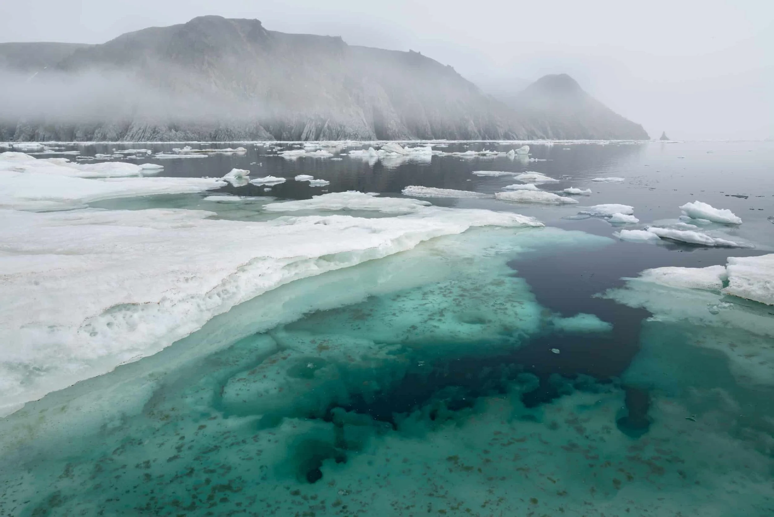 On-Thin-Ice-Herald-Island-scaled.jpg