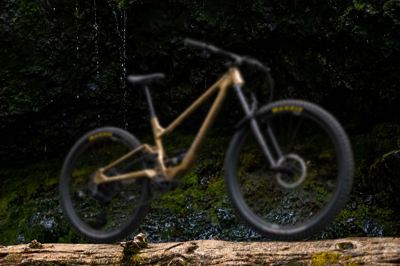A mountain bike with a tan frame and black tires leans against a mossy log in a forested area with a dark background