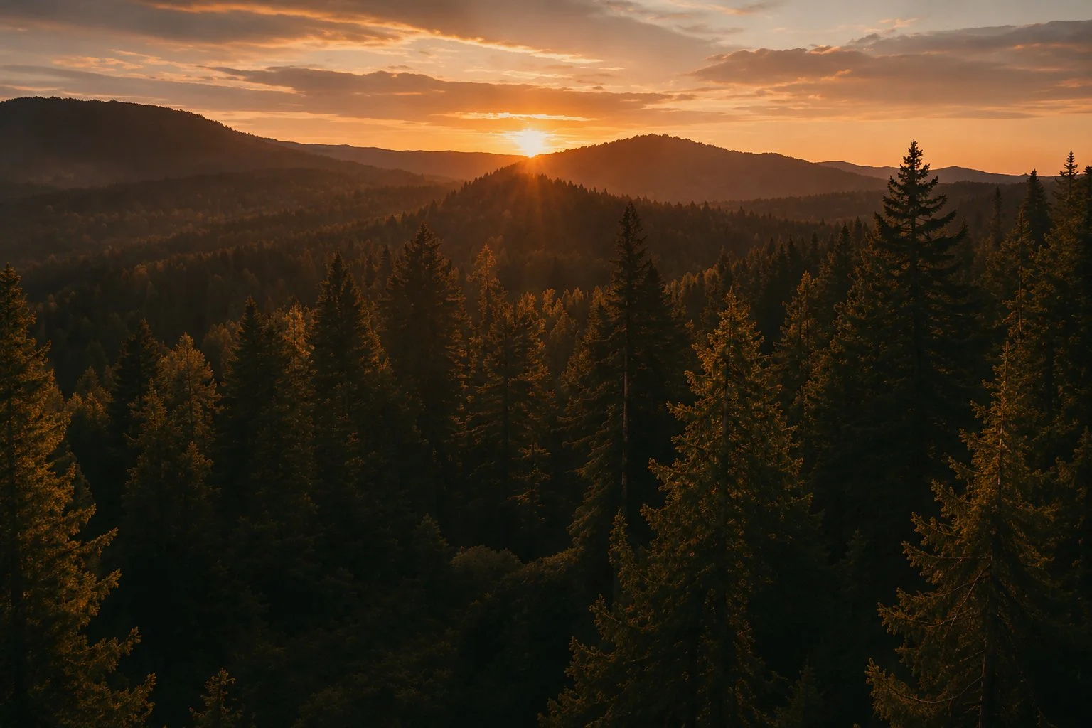 Sunset over a forested mountain landscape with tall pine trees in the foreground and rolling hills in the background, with clouds and warm orange sunlight.