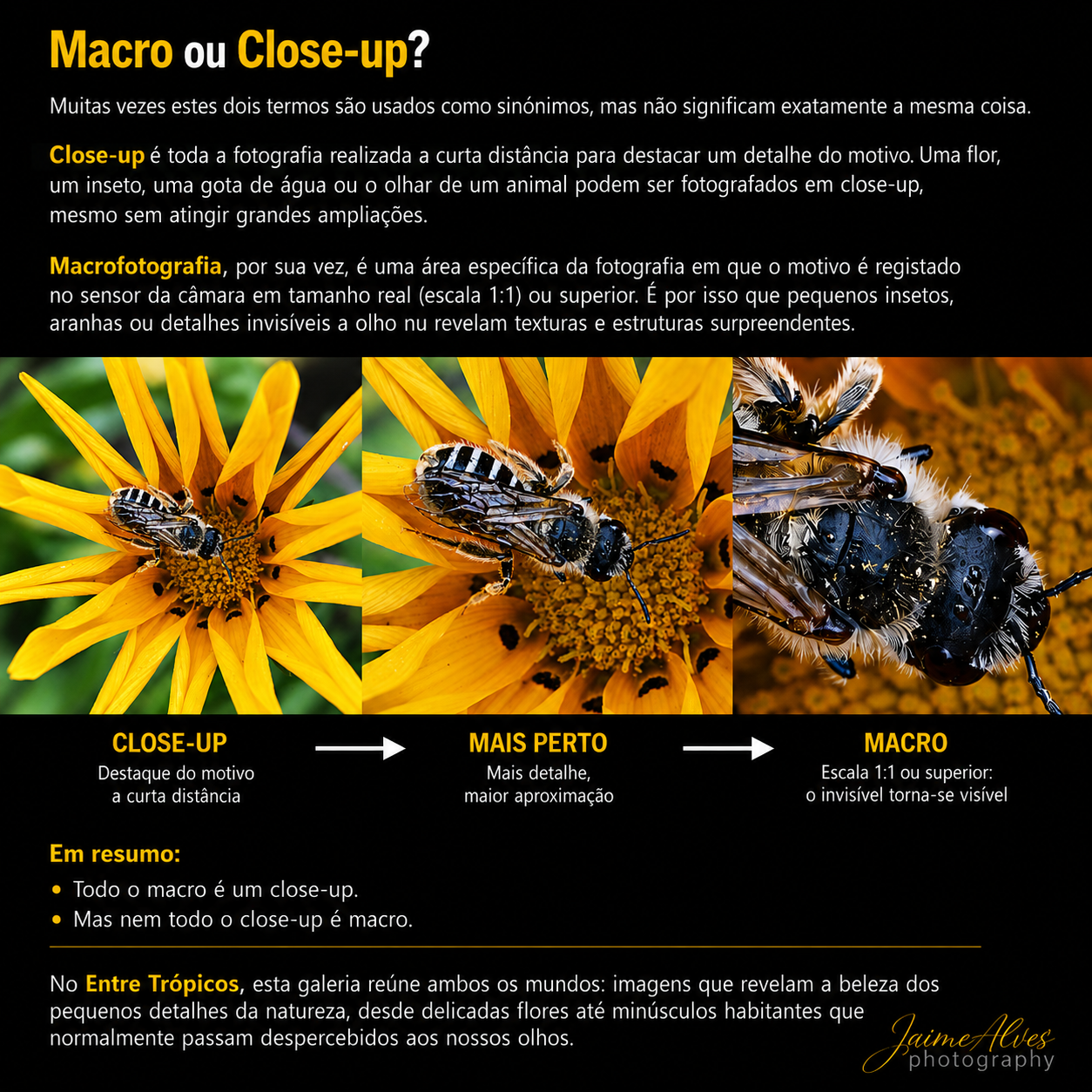 macro&closeup_16_07_2026.png