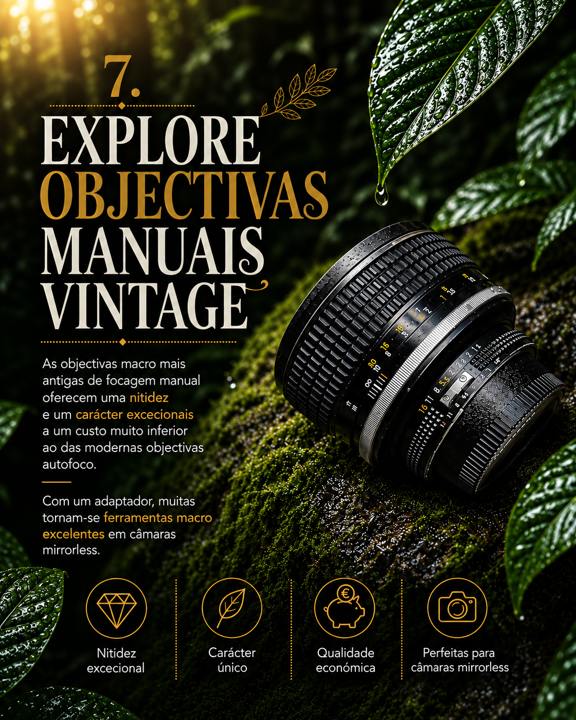 new-series_07.png