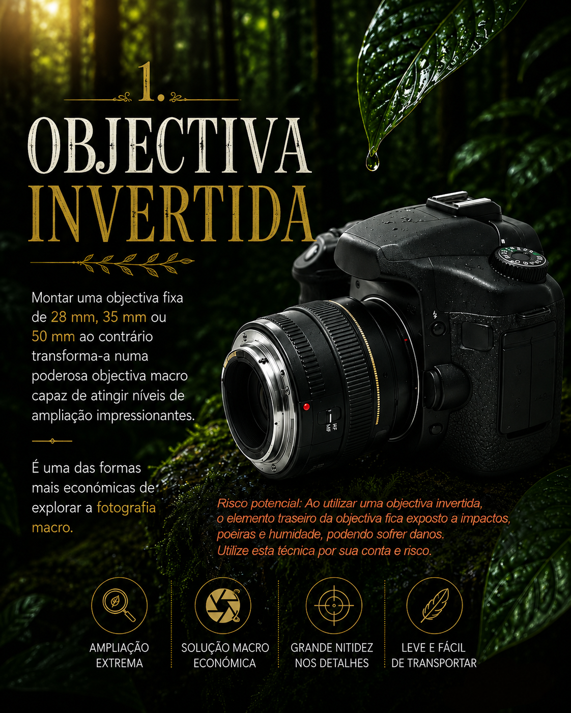 new-series_01.png
