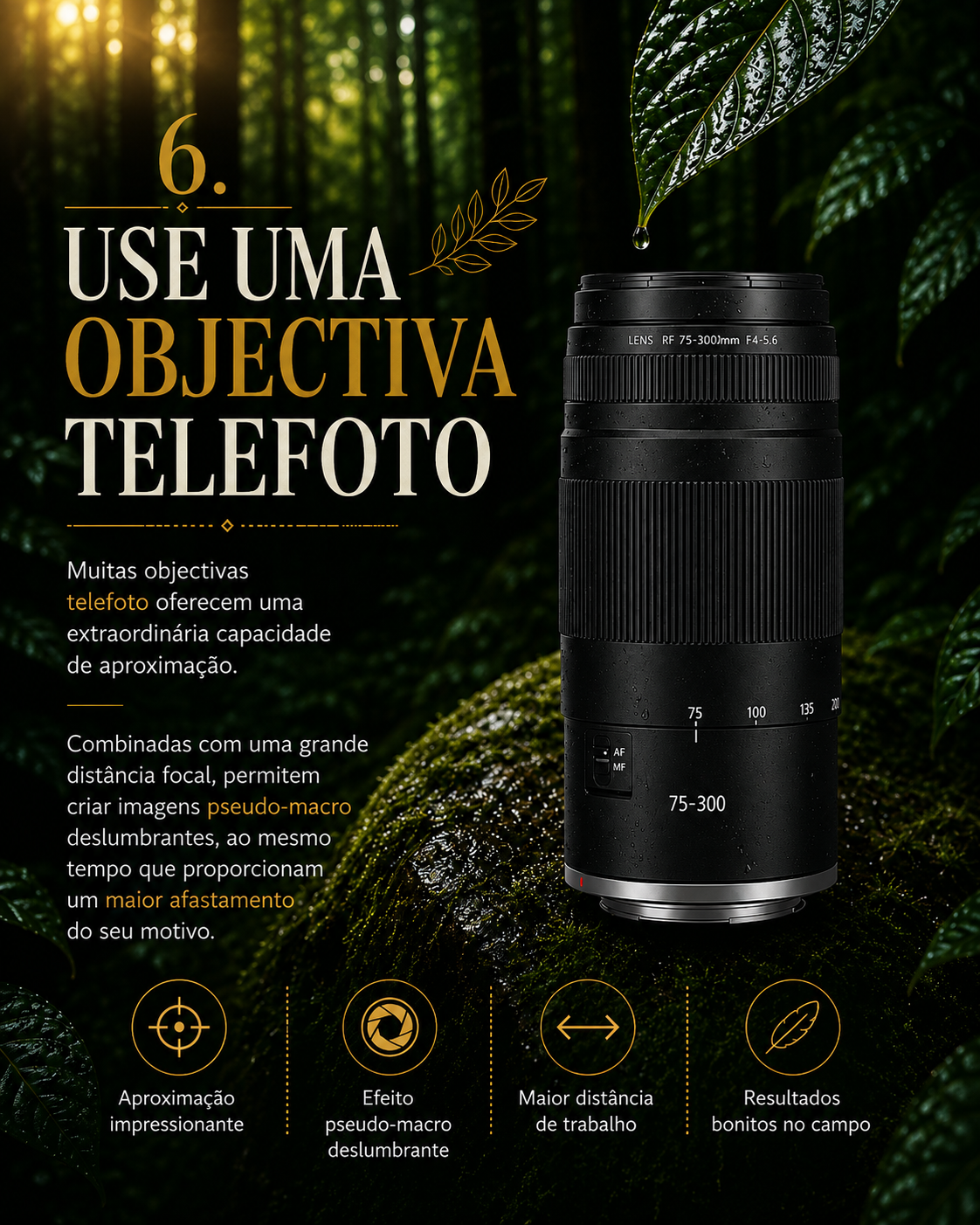 new-series_06.png