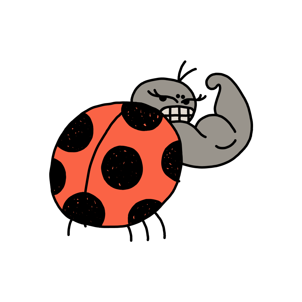 A cartoon ladybug with a muscular arm flexing its bicep, on a black background.