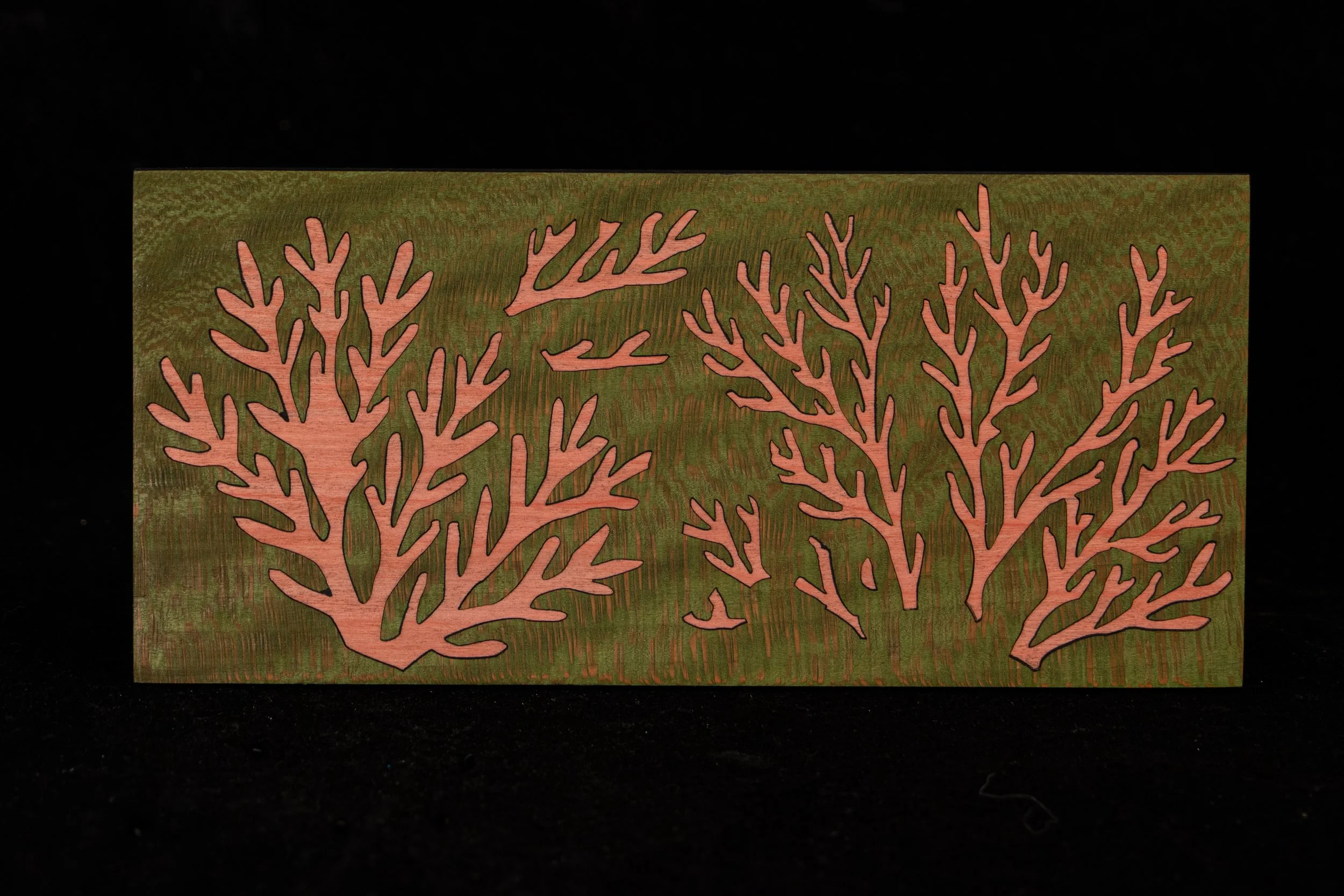Négatif de marqueterie en tulipier et platane maillé
