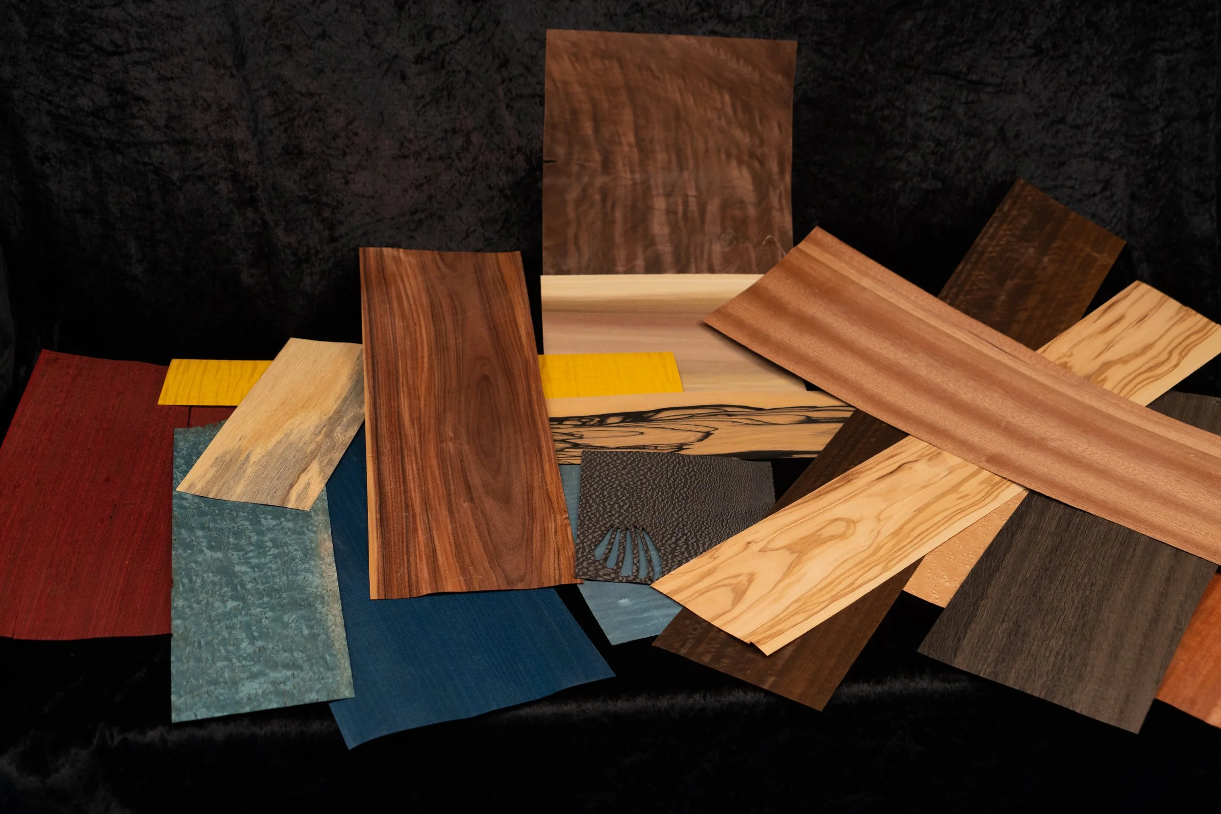 Échantillons de différentes feuilles de bois de diverses couleurs et textures, disposés sur une surface noire.