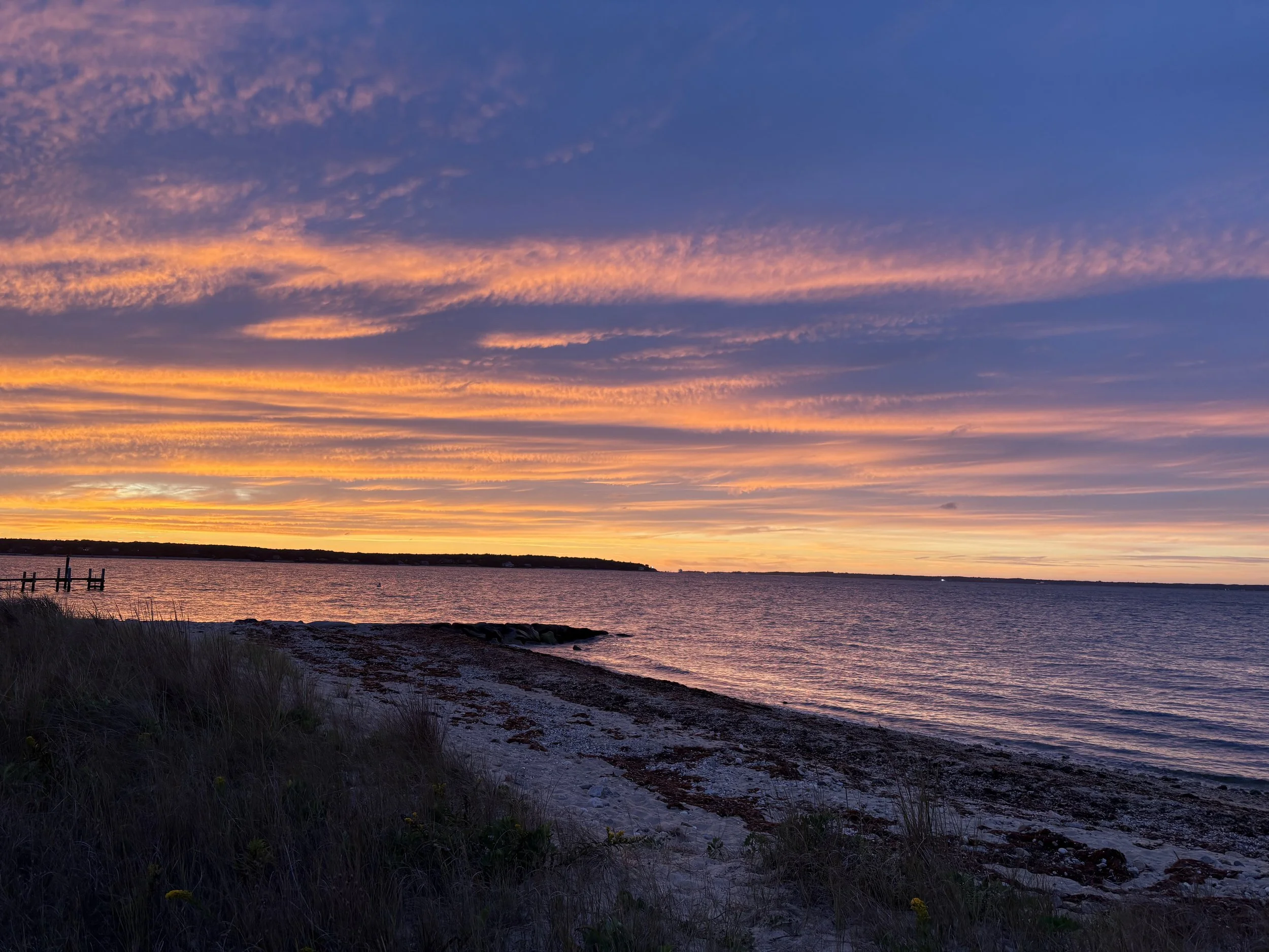 A scenic sunset over a large body of water with a shoreline featuring rocks and grassy vegetation. The sky is filled with colorful, wispy clouds in shades of pink, orange, and purple.