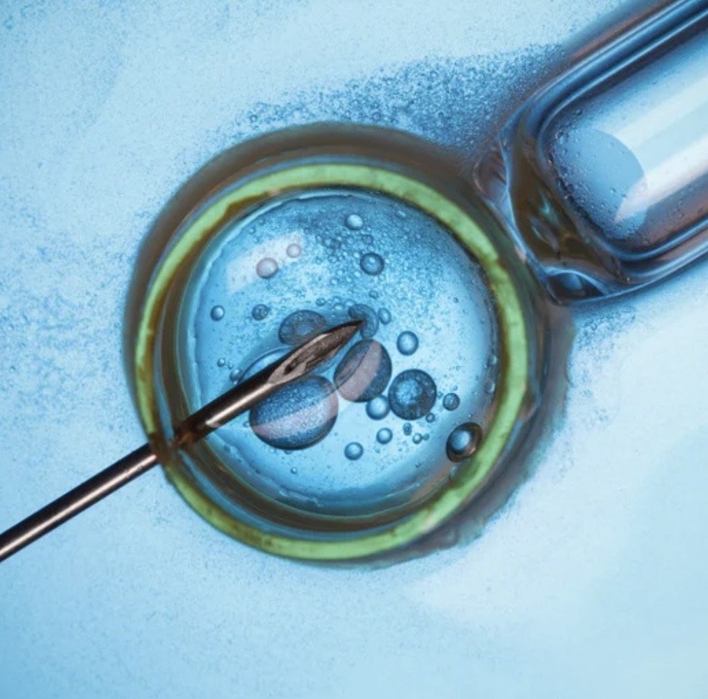 The Doula Before the Birth: Why Continuity of Care Can Begin Long Before Pregnancy
