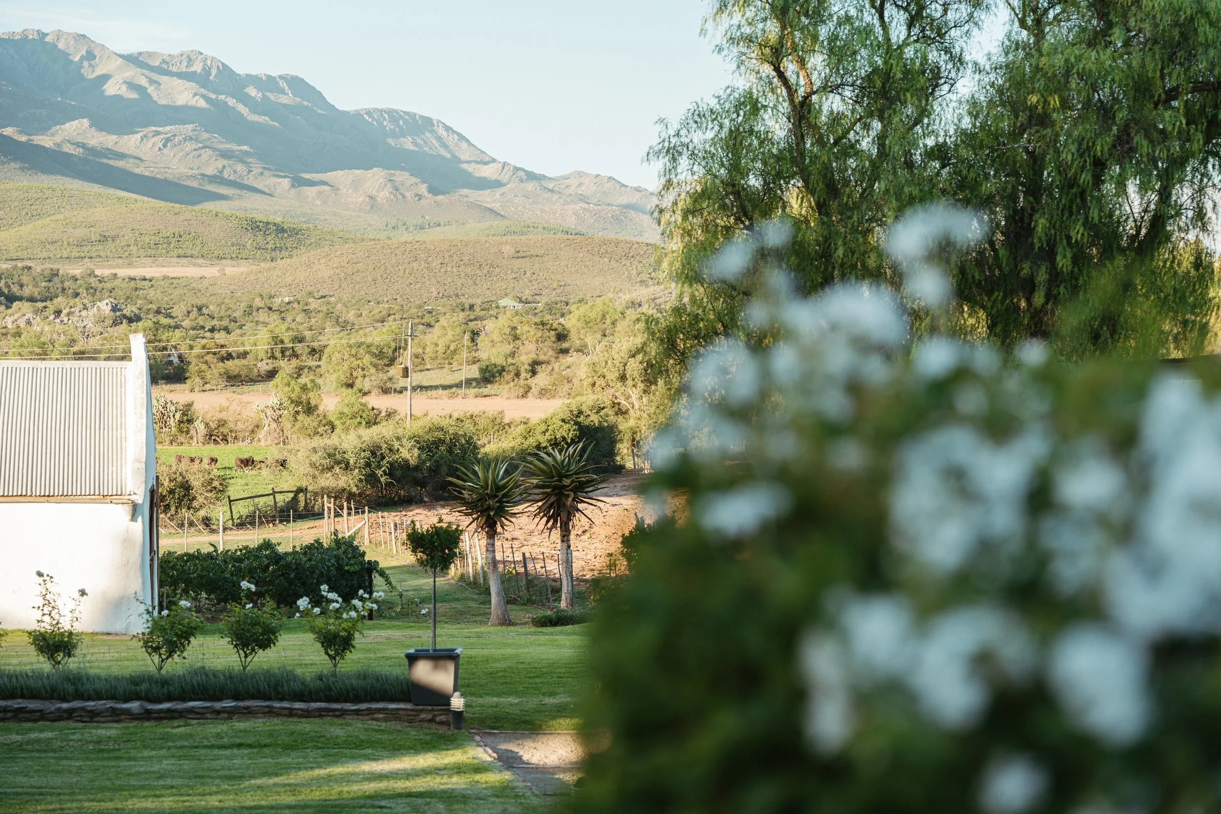 Swartberg-175.jpg