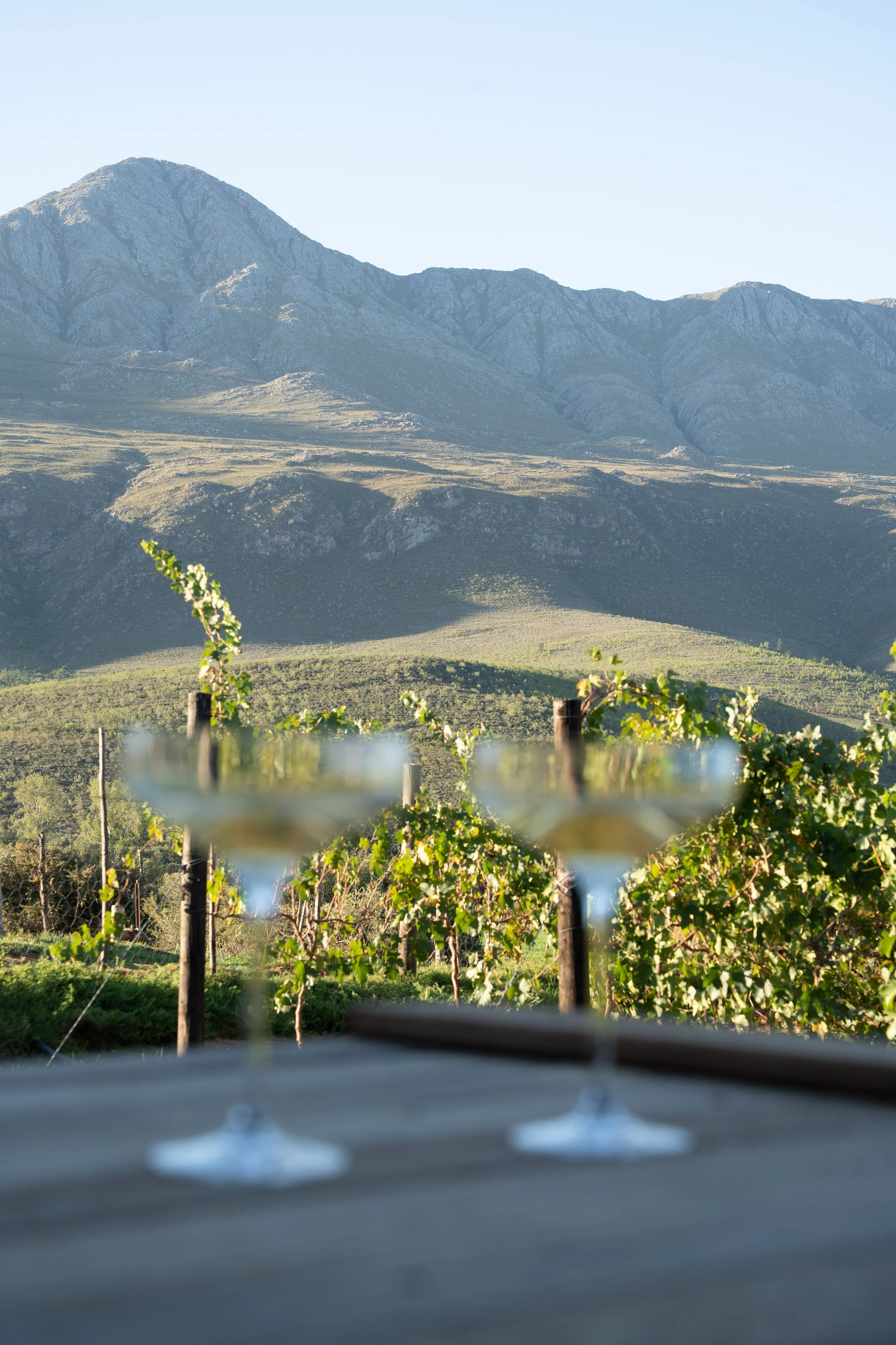 Swartberg-166.jpg